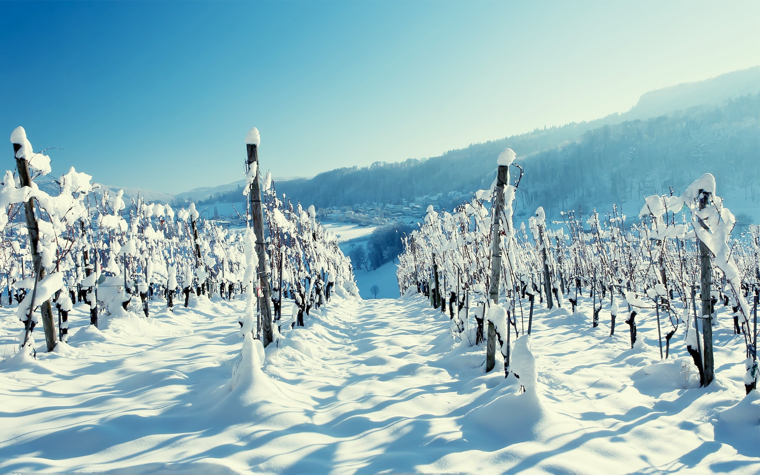 snow field, landscape, winter, cold temperature, nature, sky