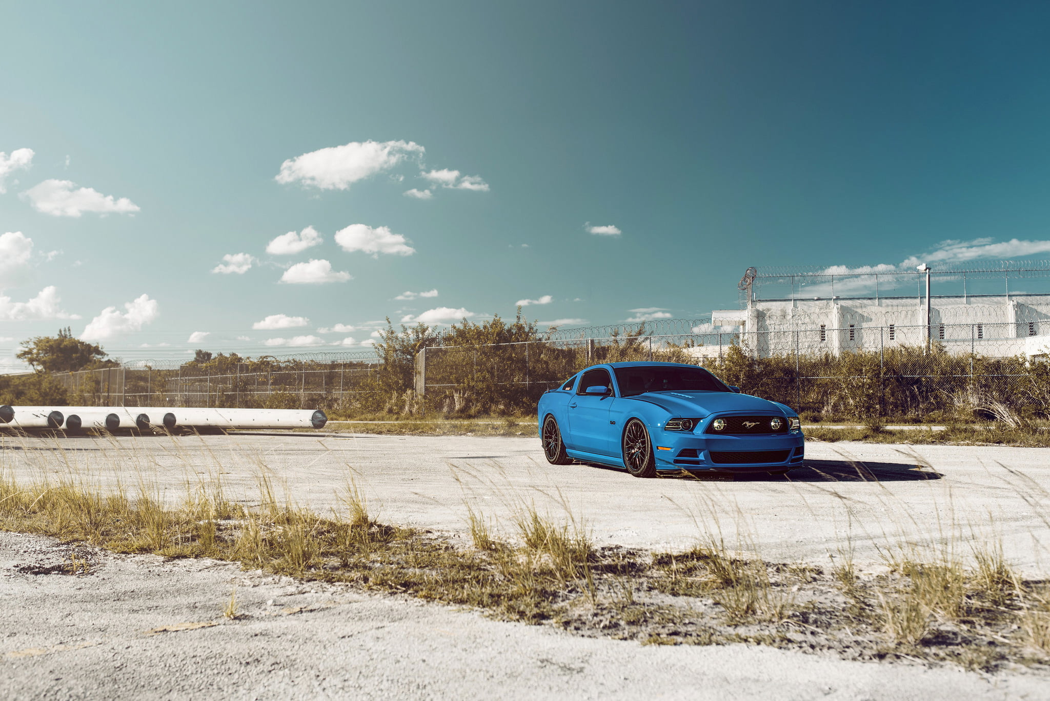 Mustang, Ford, Muscle, Car, Sky, Blue, Front, 5.0