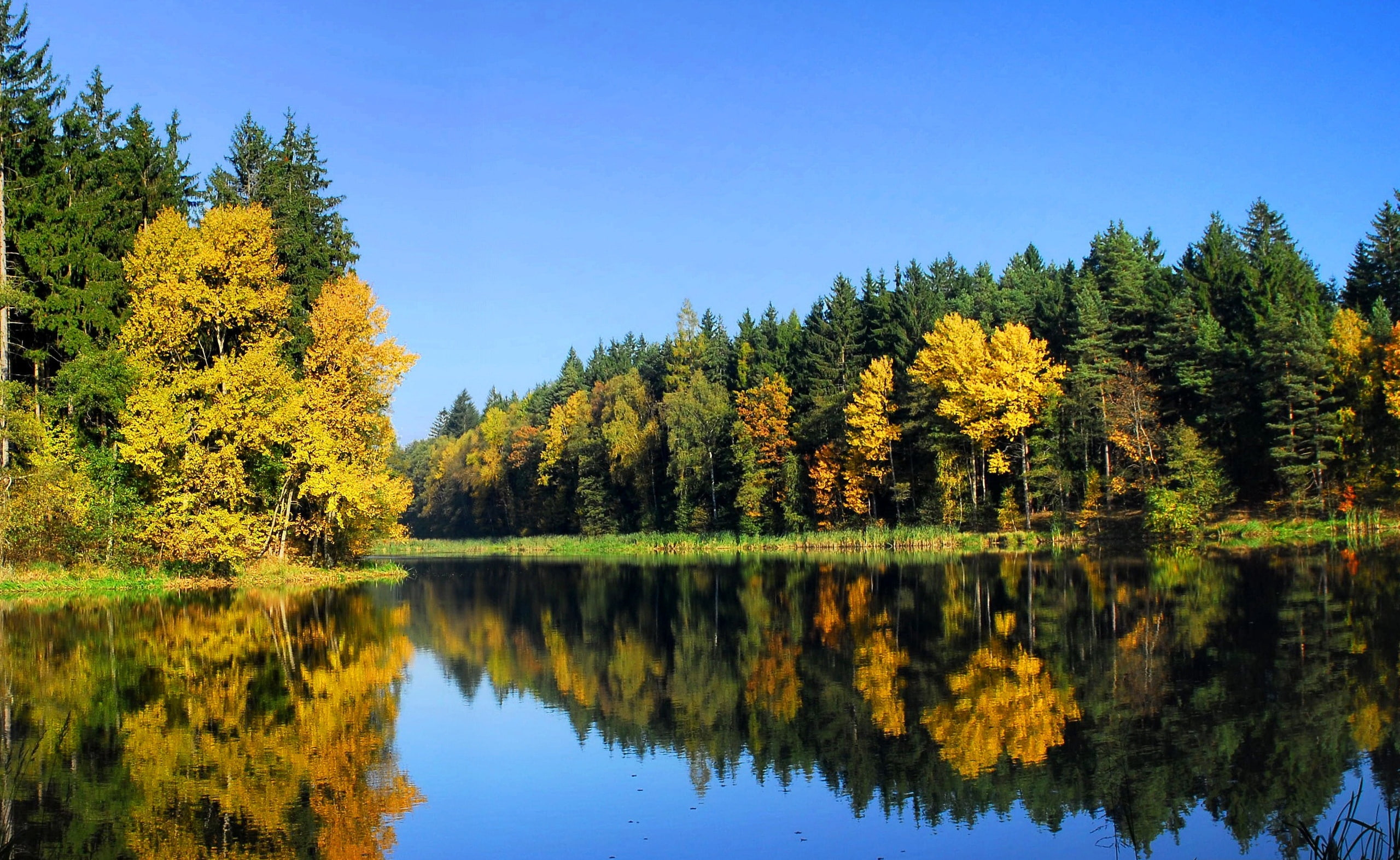 Fall Trees Reflection, green trees, Nature, Lakes, tranquility