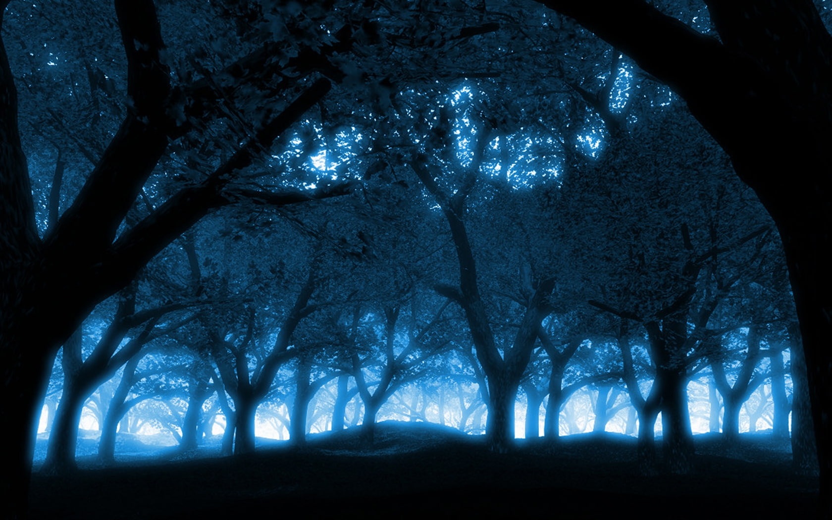 black blue blue forest Nature Forests HD Art, dark, sky