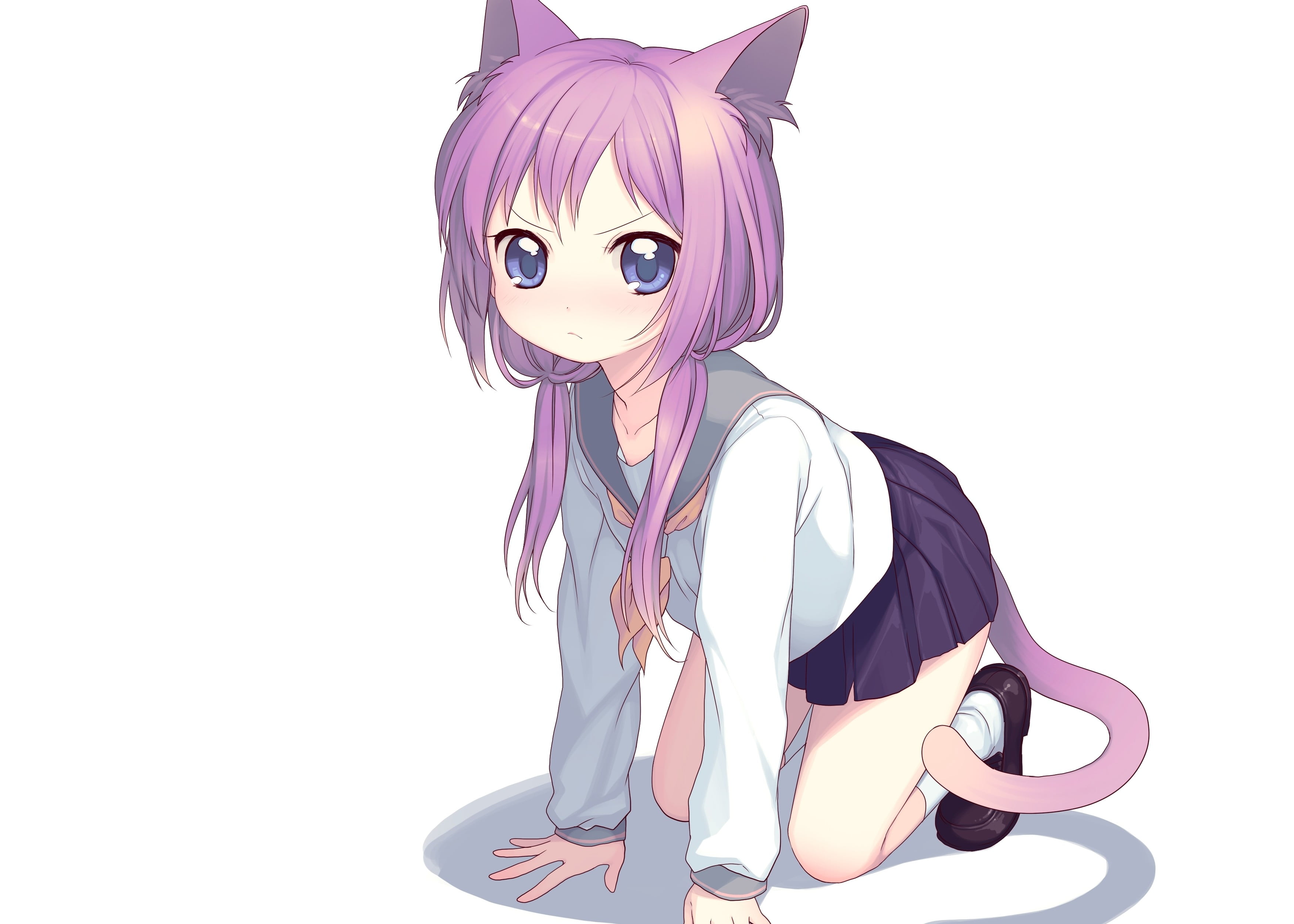 cat girl, anime girls, nekomimi, animal ears, white background