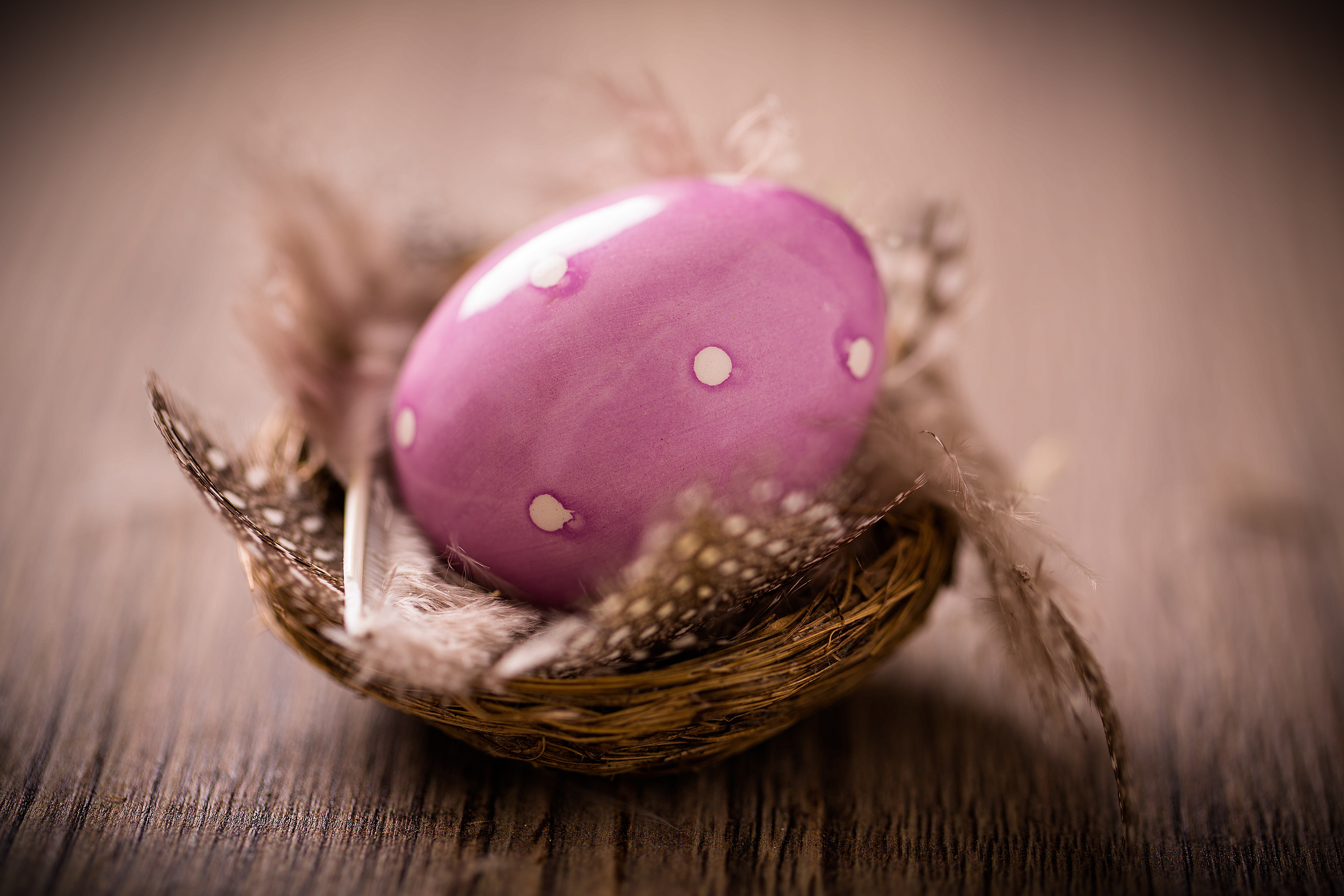 eggs, Easter, Easter eggs, happy easter