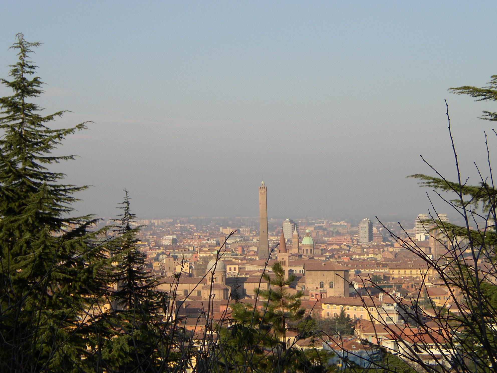 View From Bologna, italy, city, animals