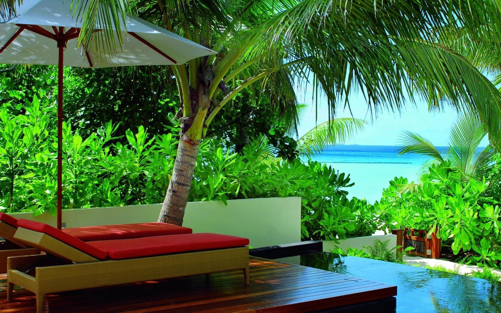 brown wooden lounge chair, maldives, greens, vegetation, tropics