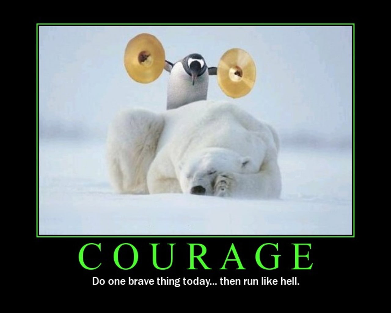 penguins courage sleeping cymbals motivational posters polar bears 1280x1024  Animals Bears HD Art