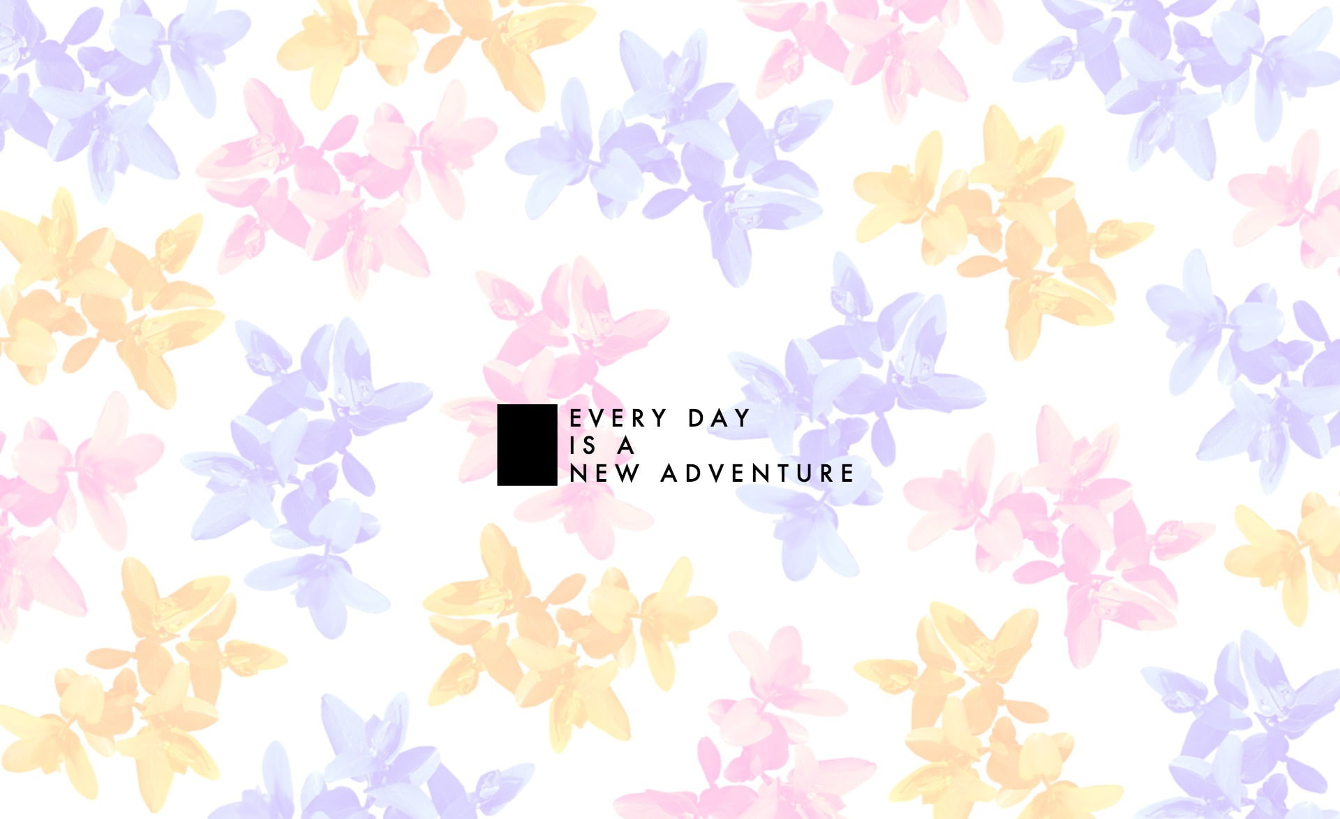 EVERY DAY IS A NEW ADVENTURE HD Wallpaper, Every Day is A new Adventure