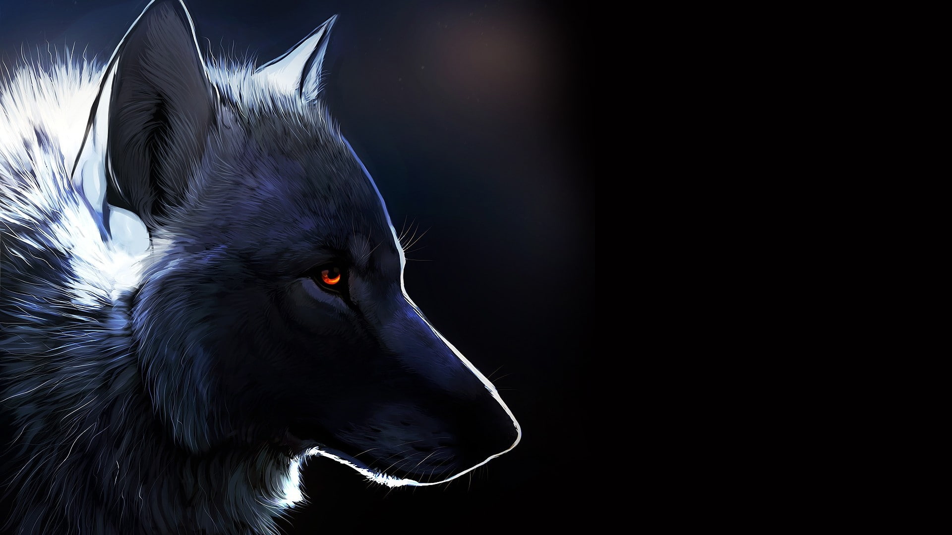 Wolf Drawing