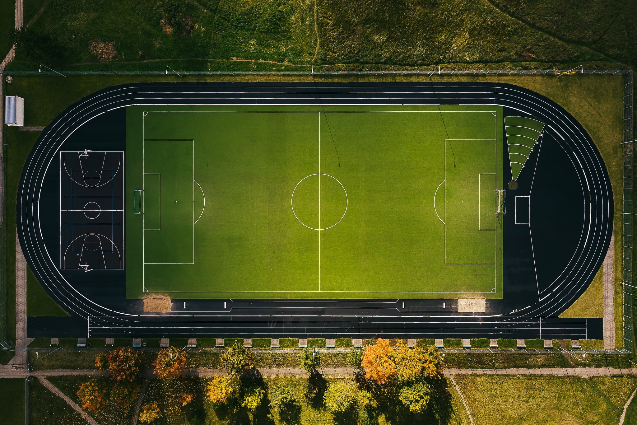 aerial view, sport, stadium, green color, plant, grass, day