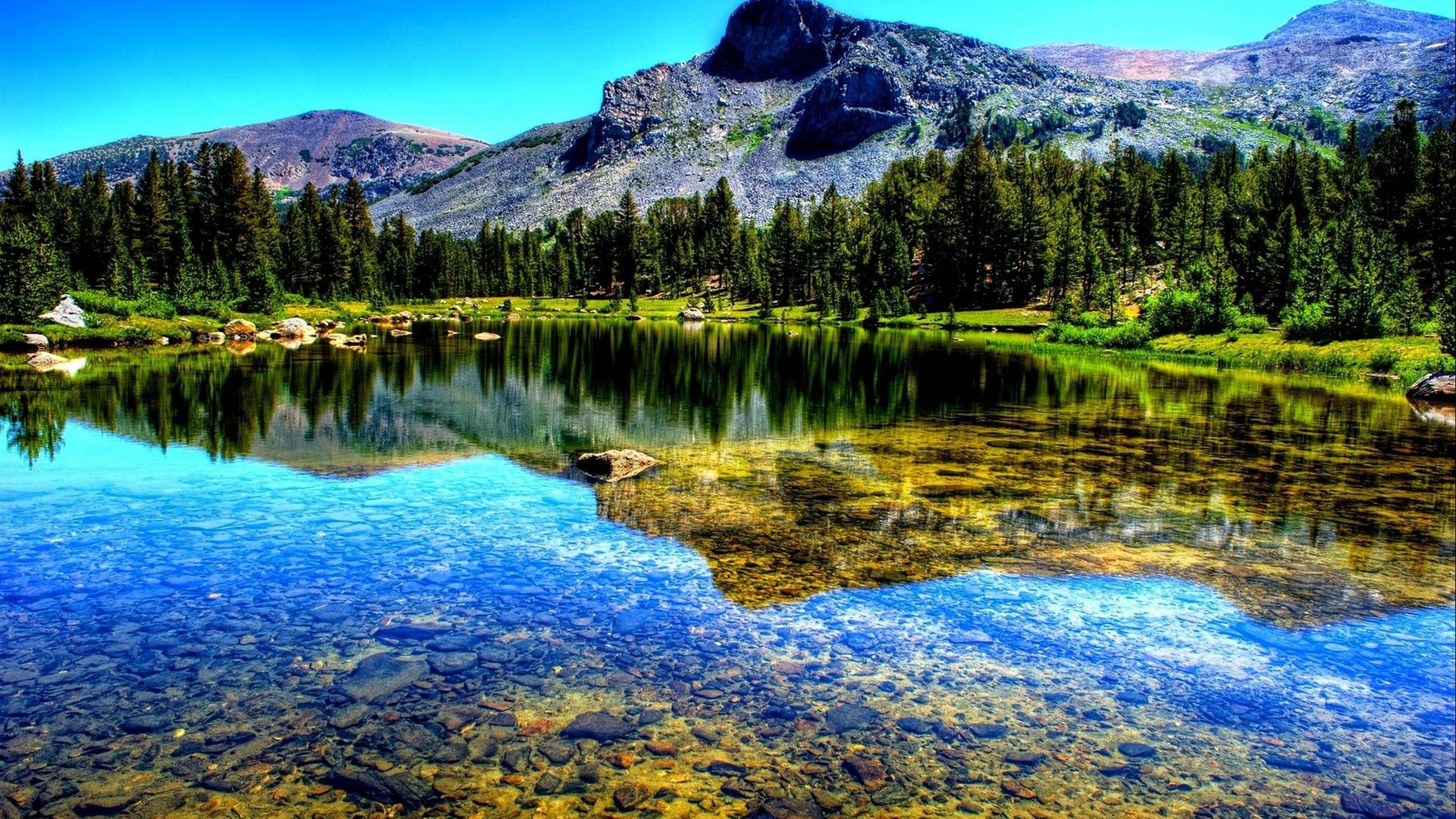 Lake Tahoe Mountain Pine Forest Crystal Clear Water Reflection Emerald Bay State Park Is A State Park Of California In The United States 2560×1440