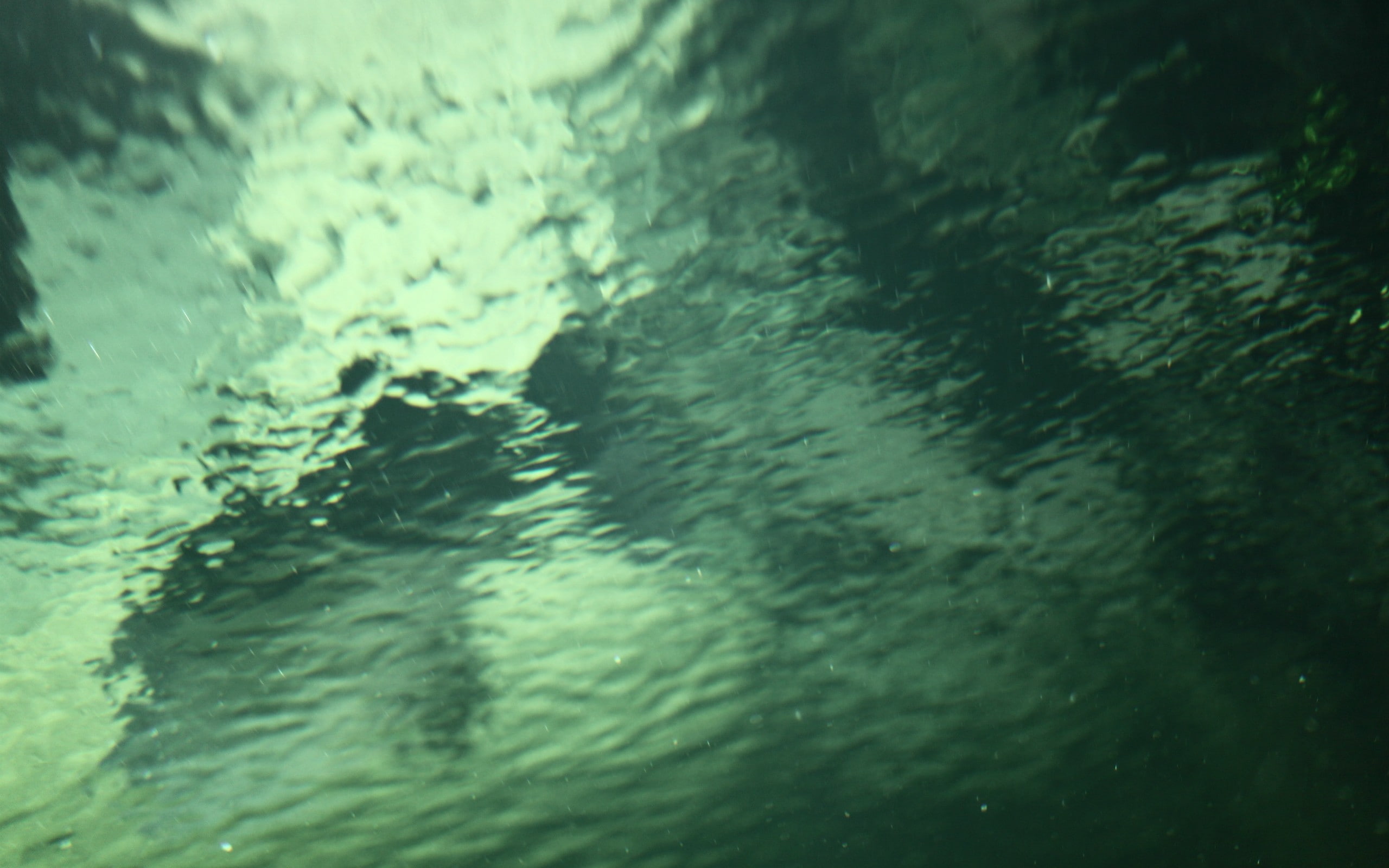 Underwater HD, nature