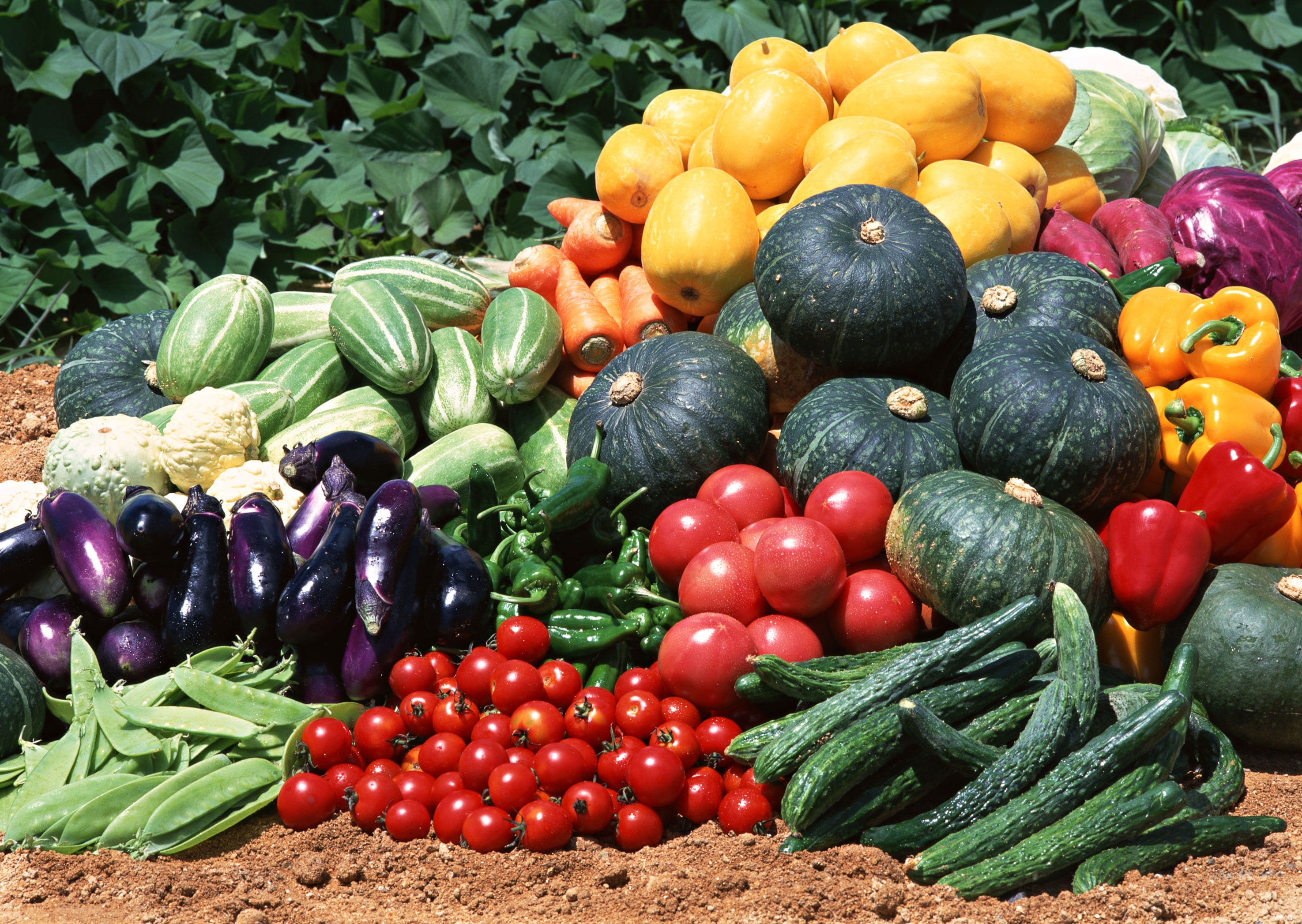 assorted fruit lot, cucumbers, tomatoes, squash, vegetables, food