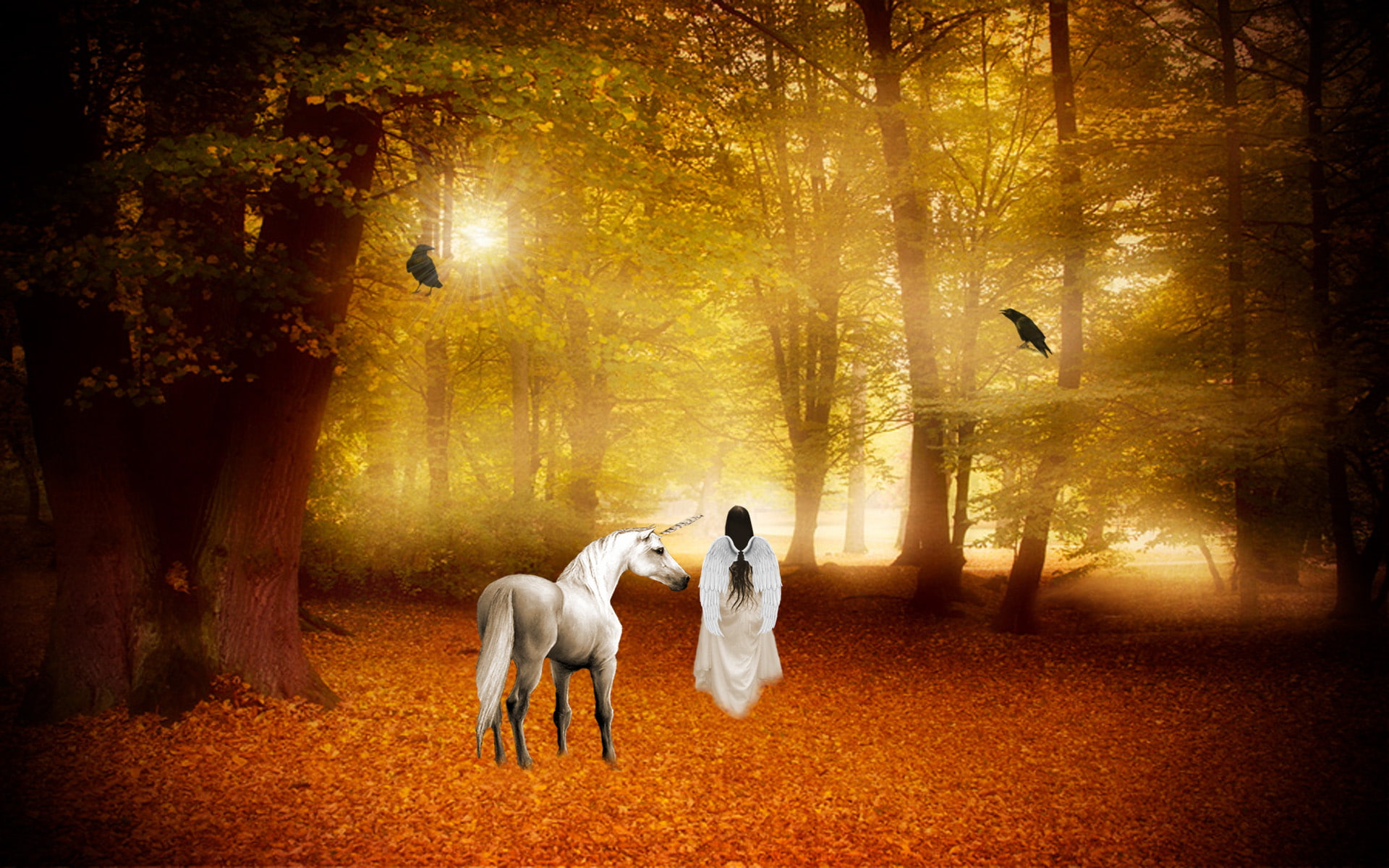 angel, animal, autumn, fairy, forest, horse, Magical, Unicorn