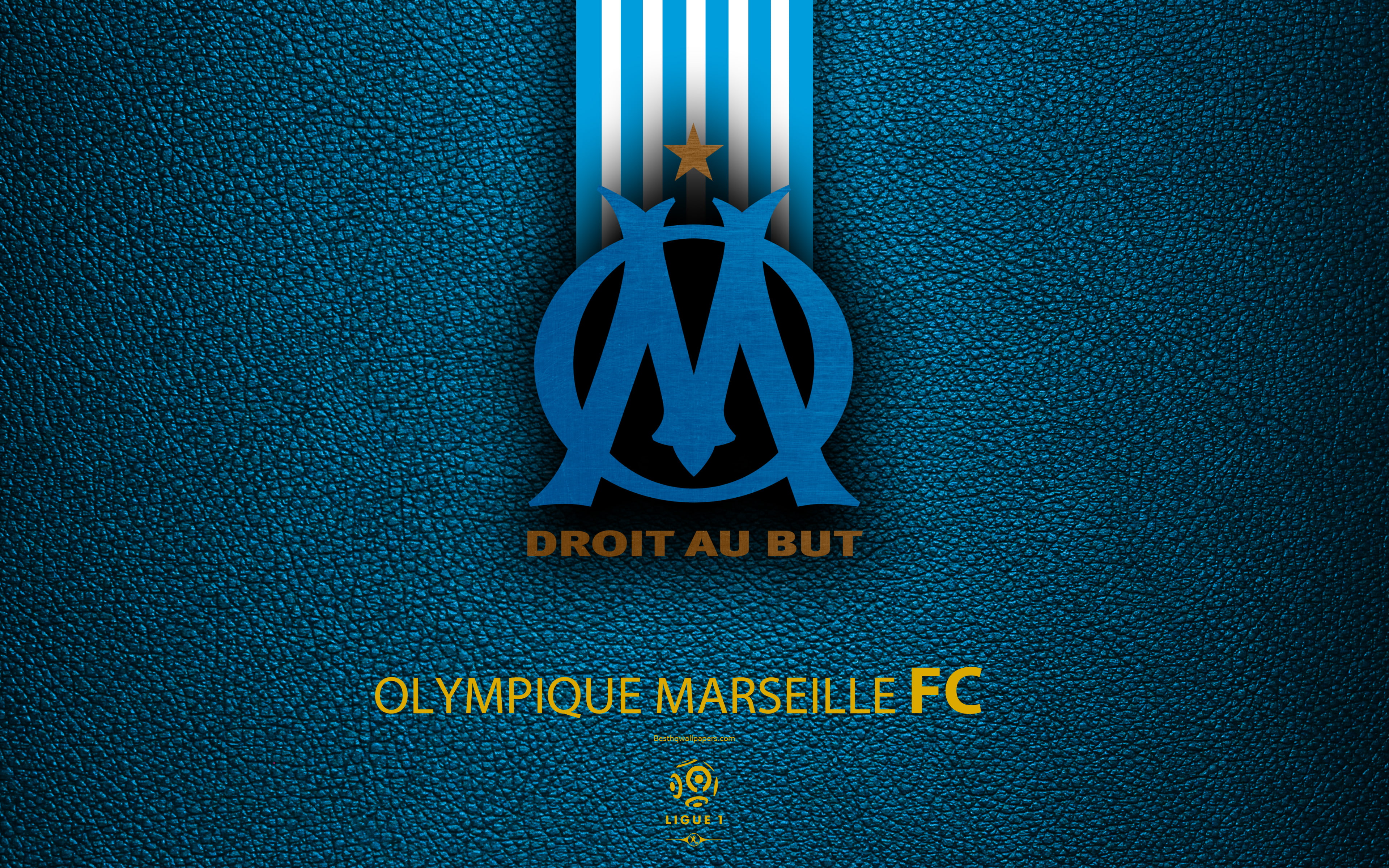 marseille, olympique, soccer, sports