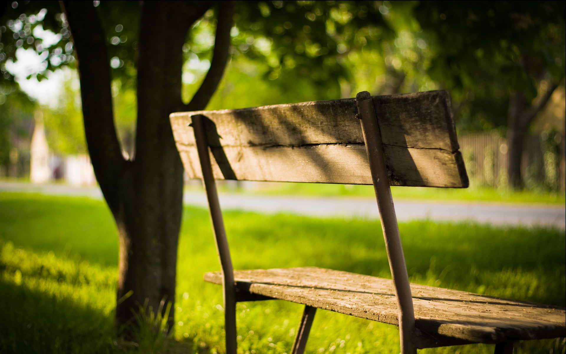 brown wooden outdoor bench, greens, summer, leaves, the sun, rays