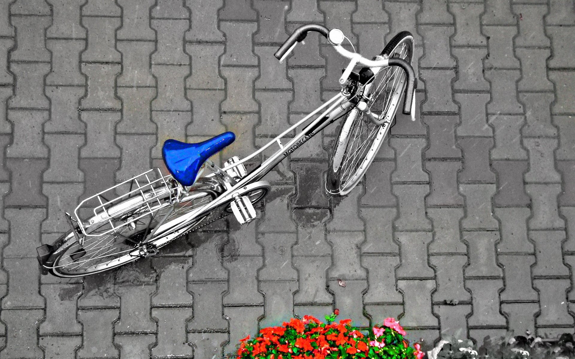 Vehicles, Bicycle