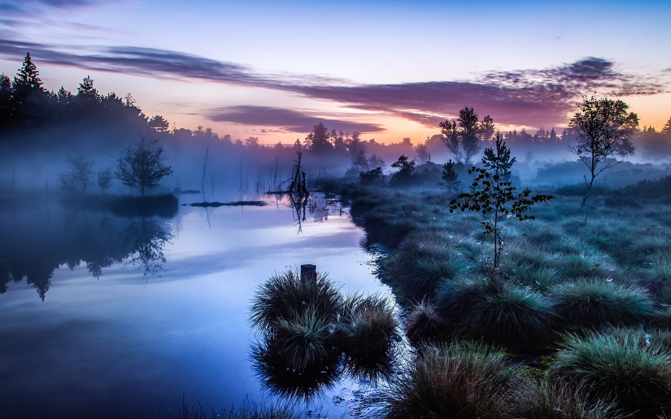 landscape, trees, morning, Europe, mist, river, water, blue