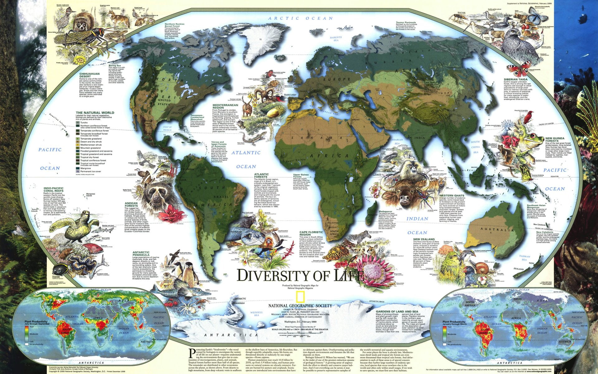 Misc, World Map