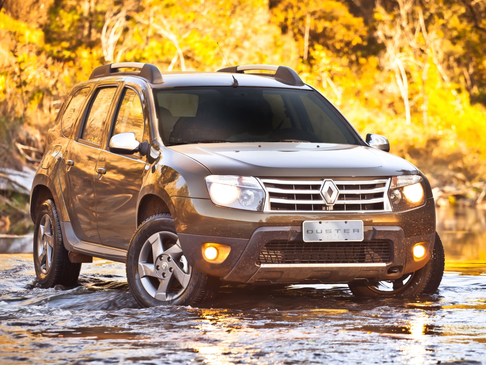 gray Renault SUV, forest, water, stream, the front, Reno, crossover