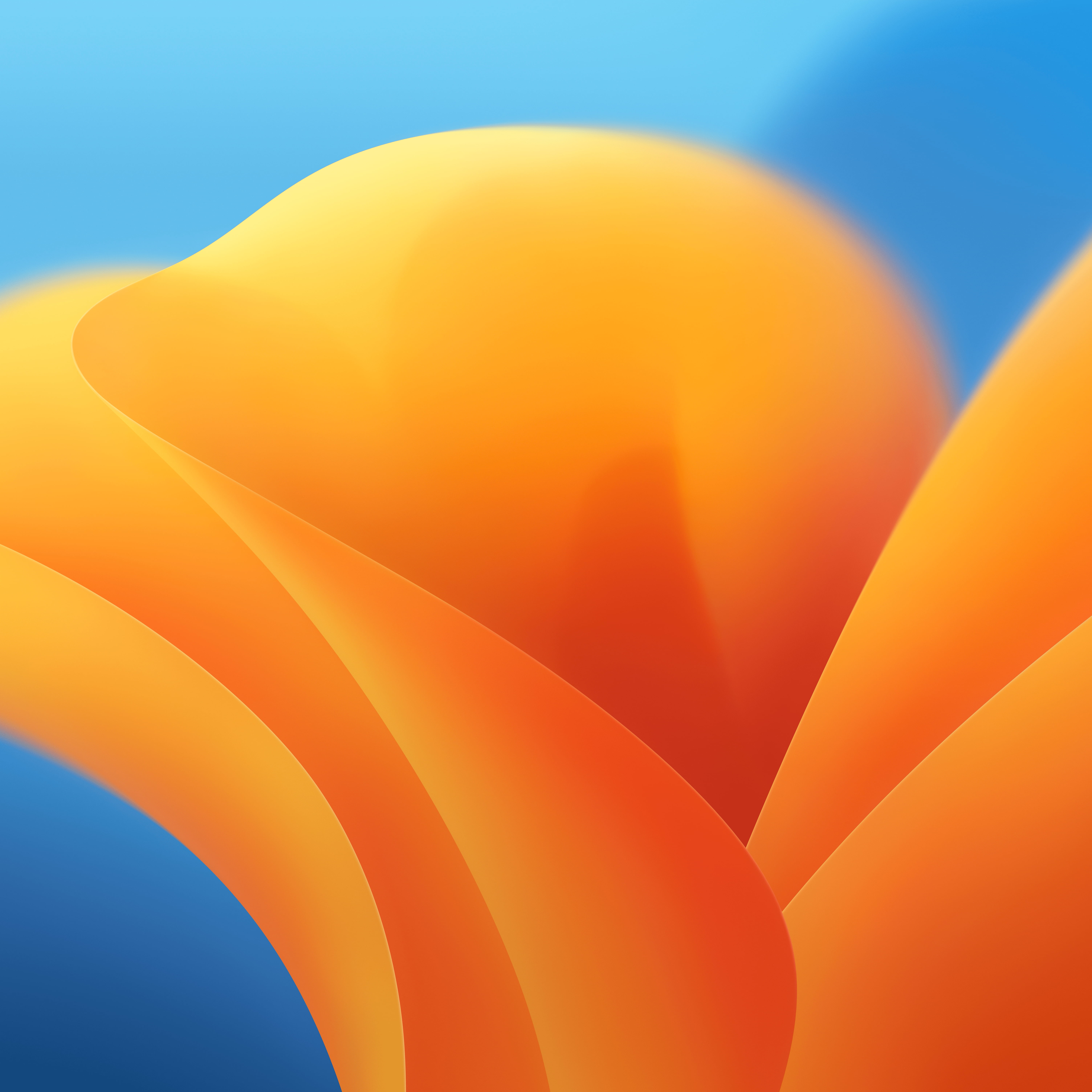 Mac OS X, MacOS Ventura, colorful, orange background, flowers