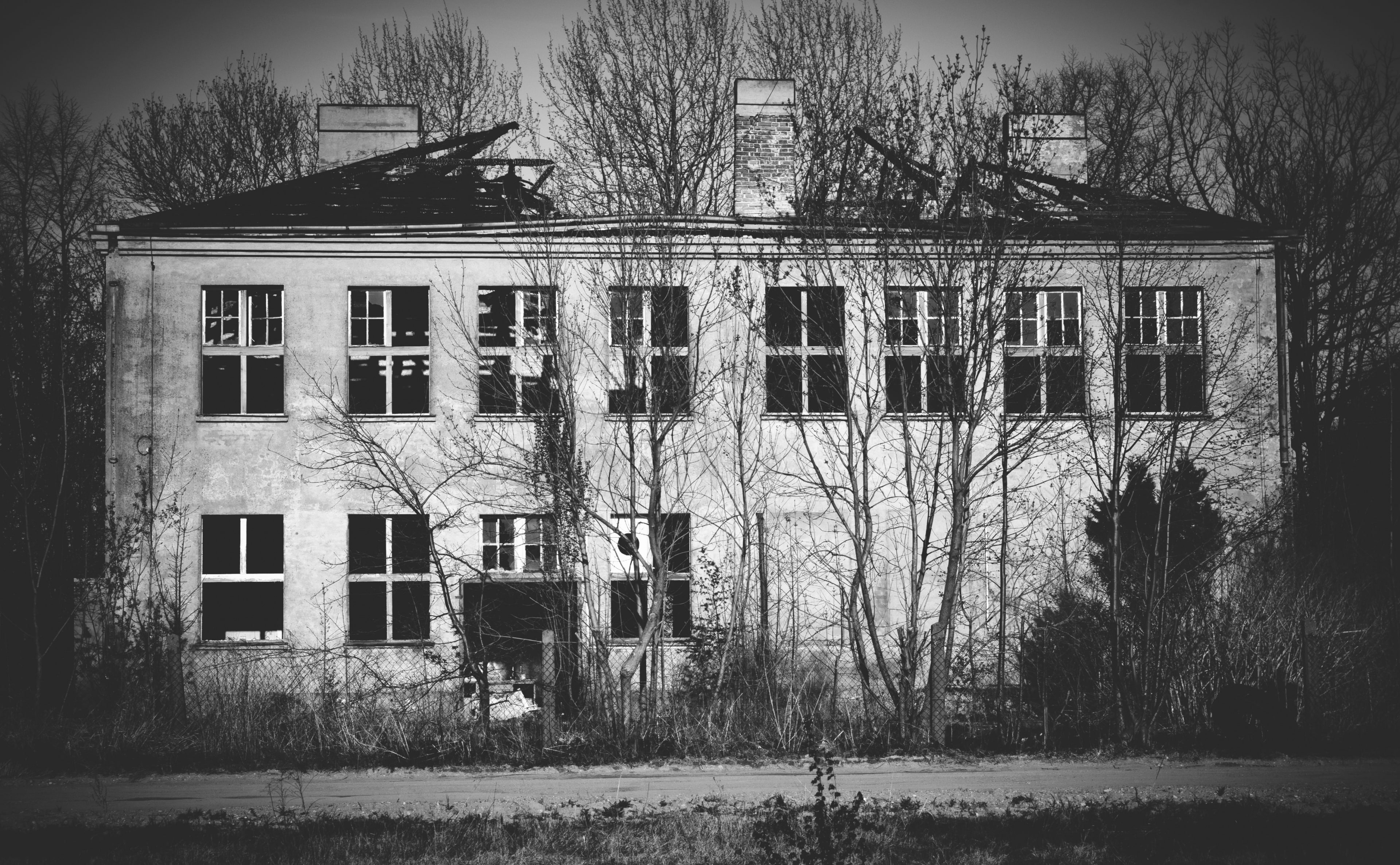 Empty Building, house facade, Black and White, Trees, Architecture