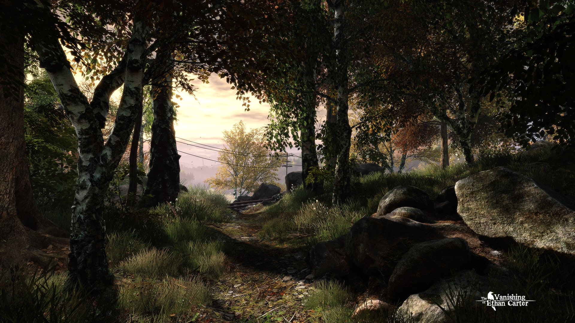 The Vanishing of Ethan Carter, video games, forest, tree, plant