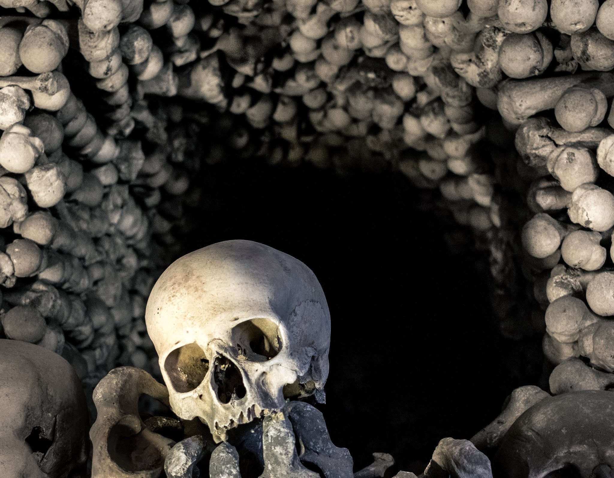 bones, skull