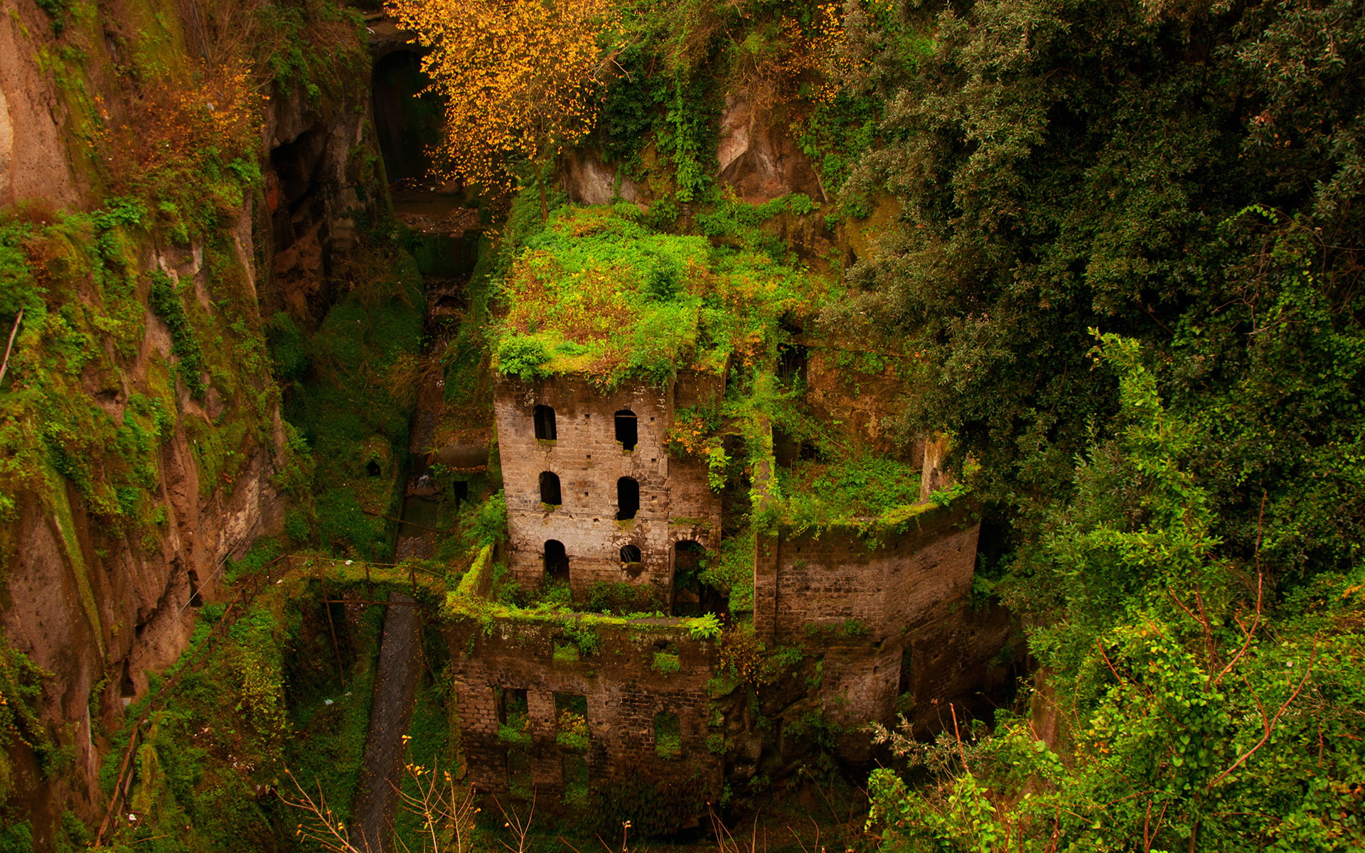 Castle Ruins Overgrowth HD, nature