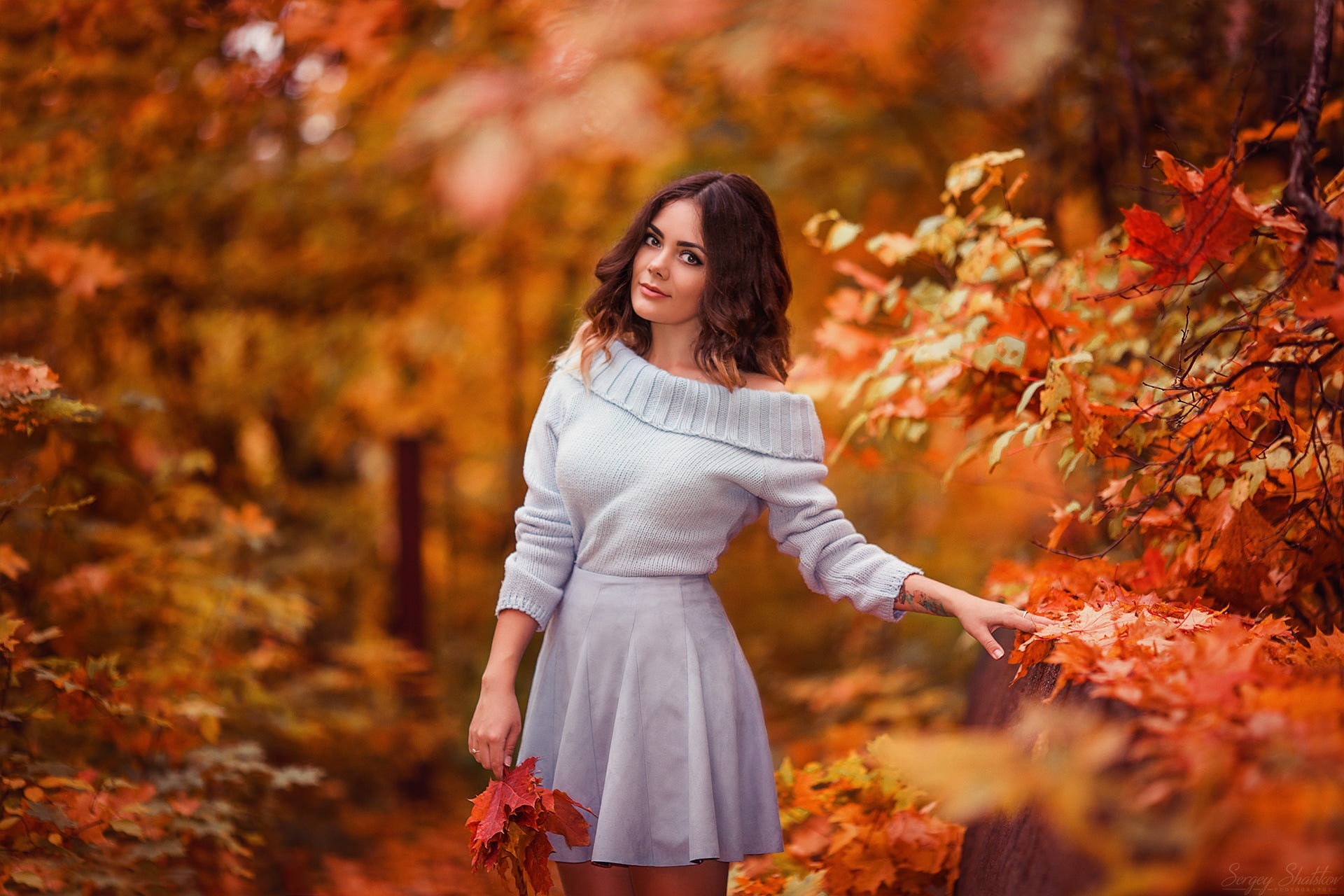Free Download Hd Wallpaper Autumn Look Leaves Girl Park Photo Sweater Xenia Sergey 