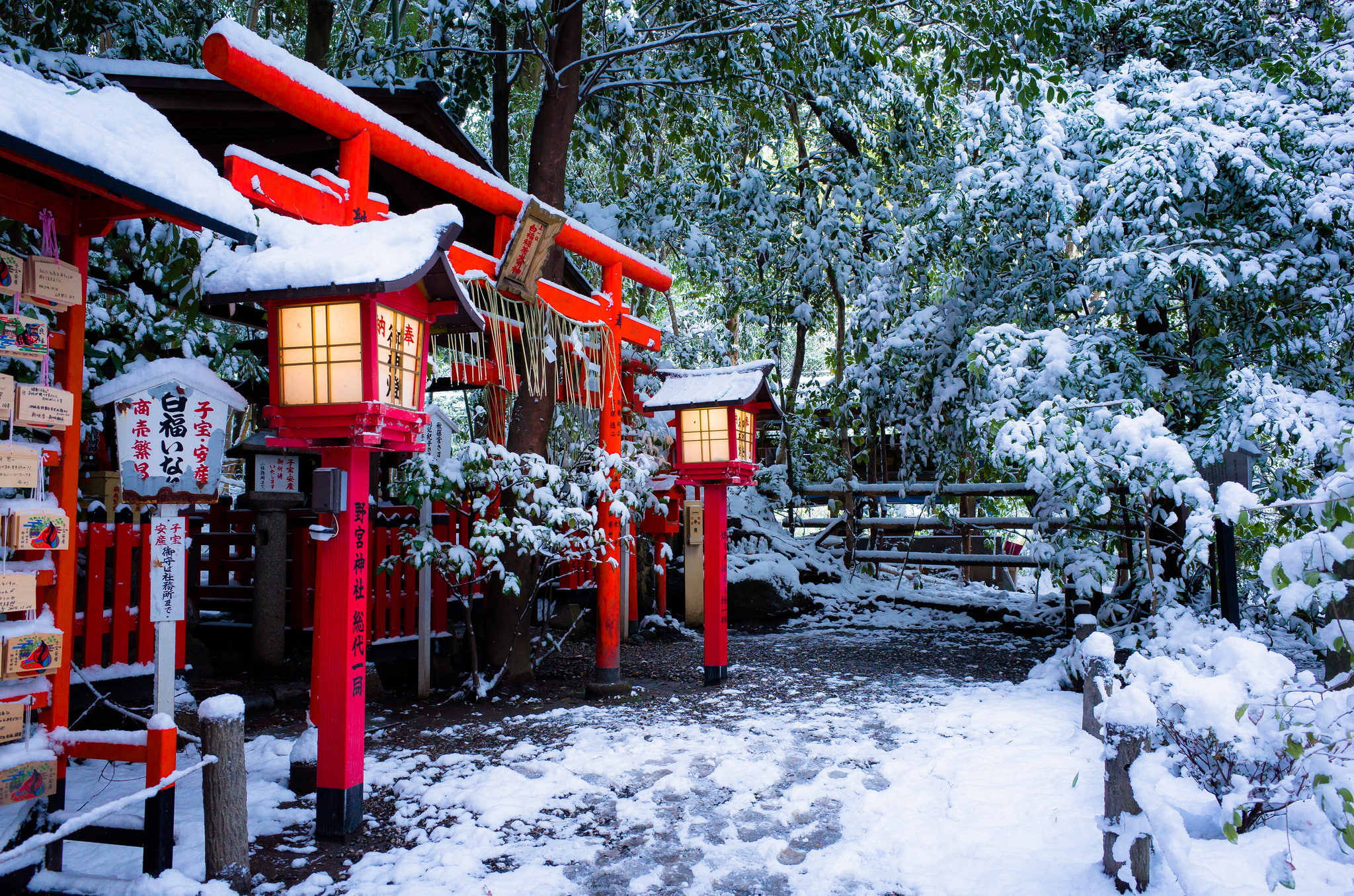 red tori gate, winter, snow, Japan, lights, temple, the gates