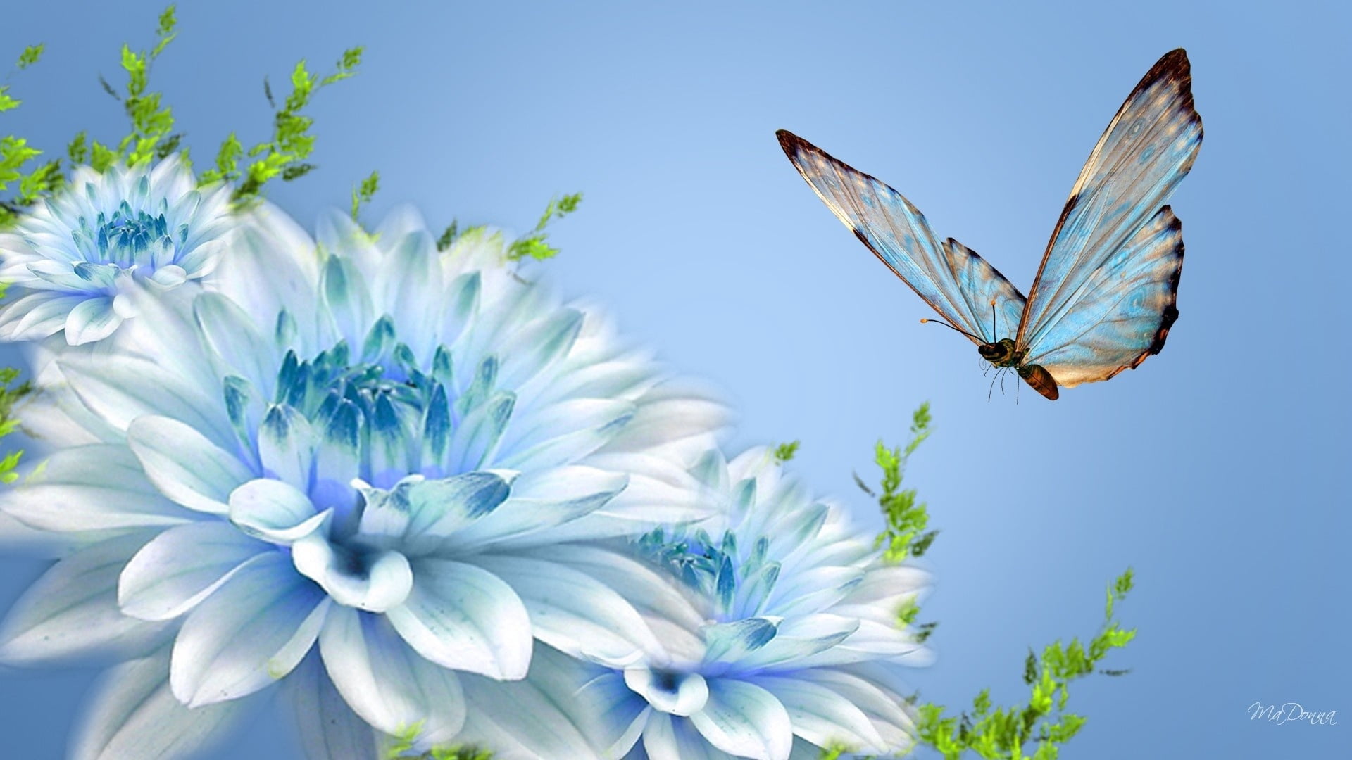 white and teal butterfly and flower illustration, flying, close-up