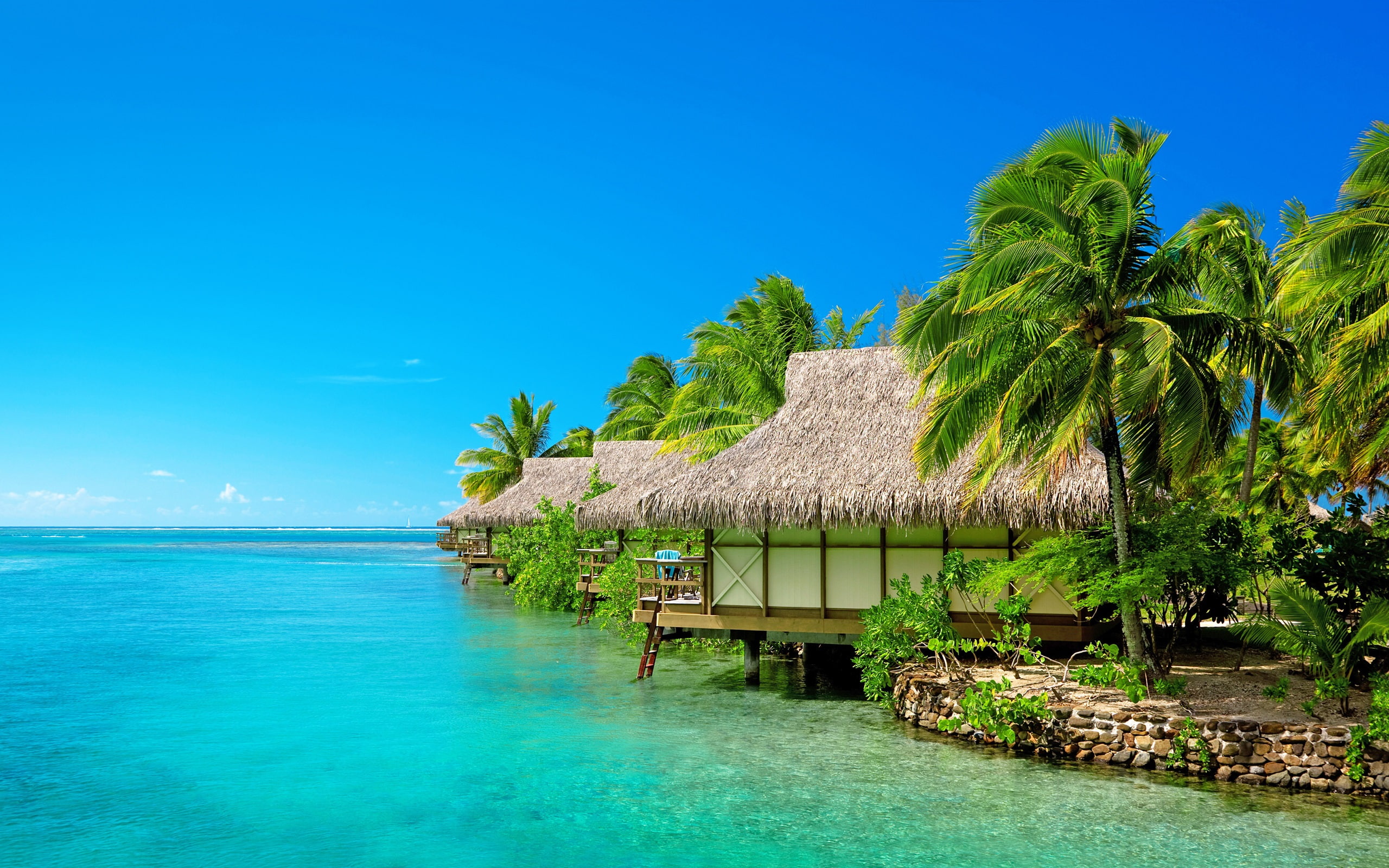 Sea, blue sky, resort, bungalow, palm trees, beach, brown and white hut on seashore