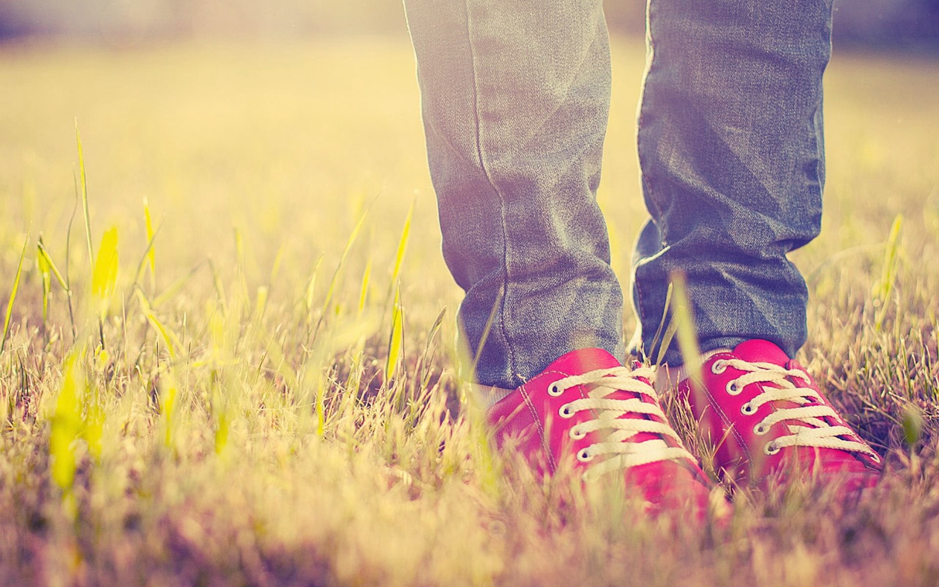 pair of white-and-red low-top sneakers, feet, grass, light, shoes