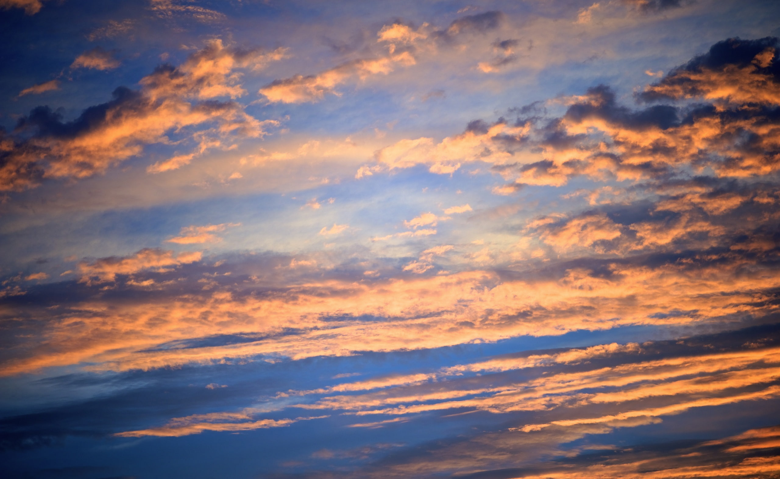 Sunset Clouds, Summer, white clouds, Nature, Sun and Sky, cloud - sky