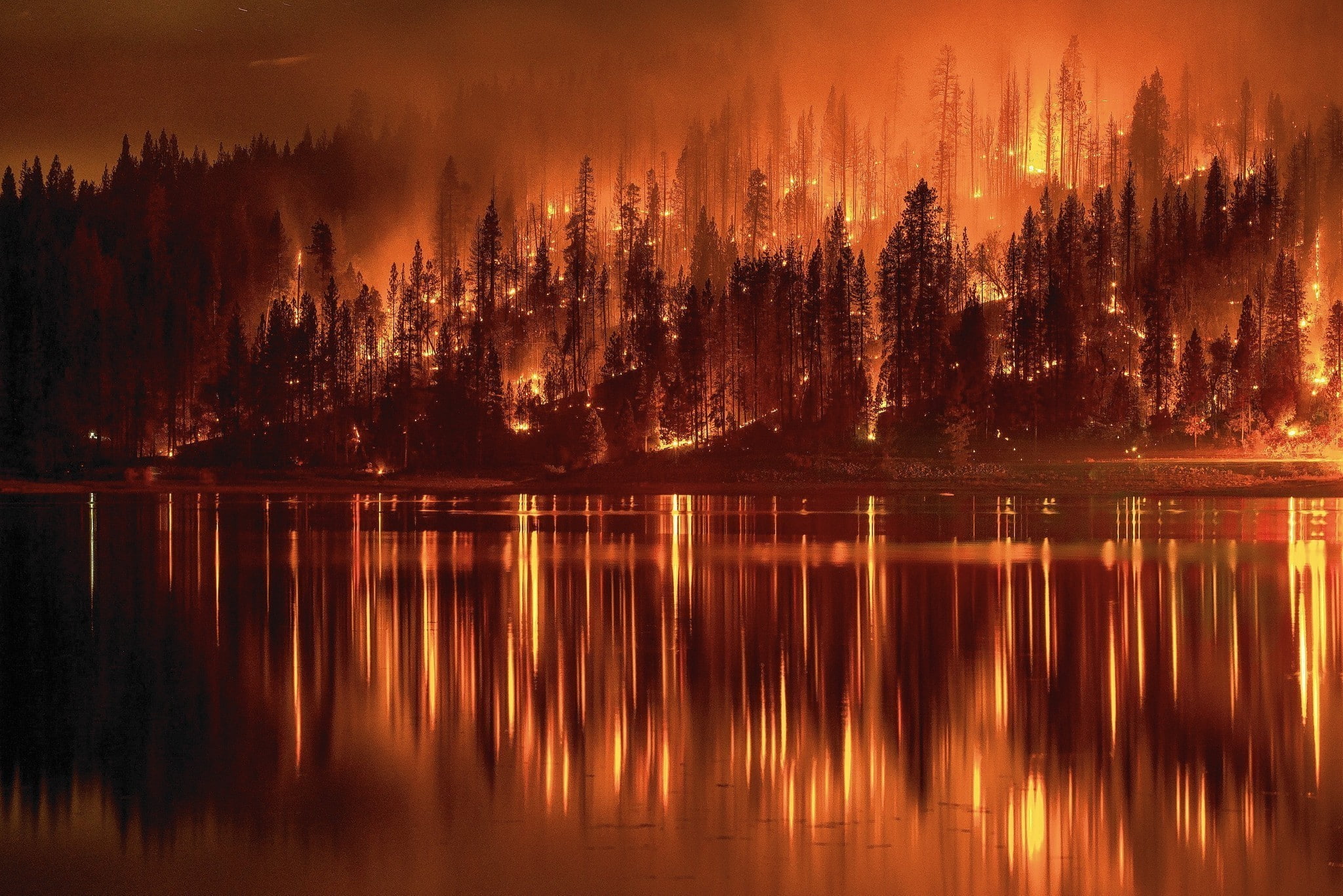 fire, forest, lake, reflection