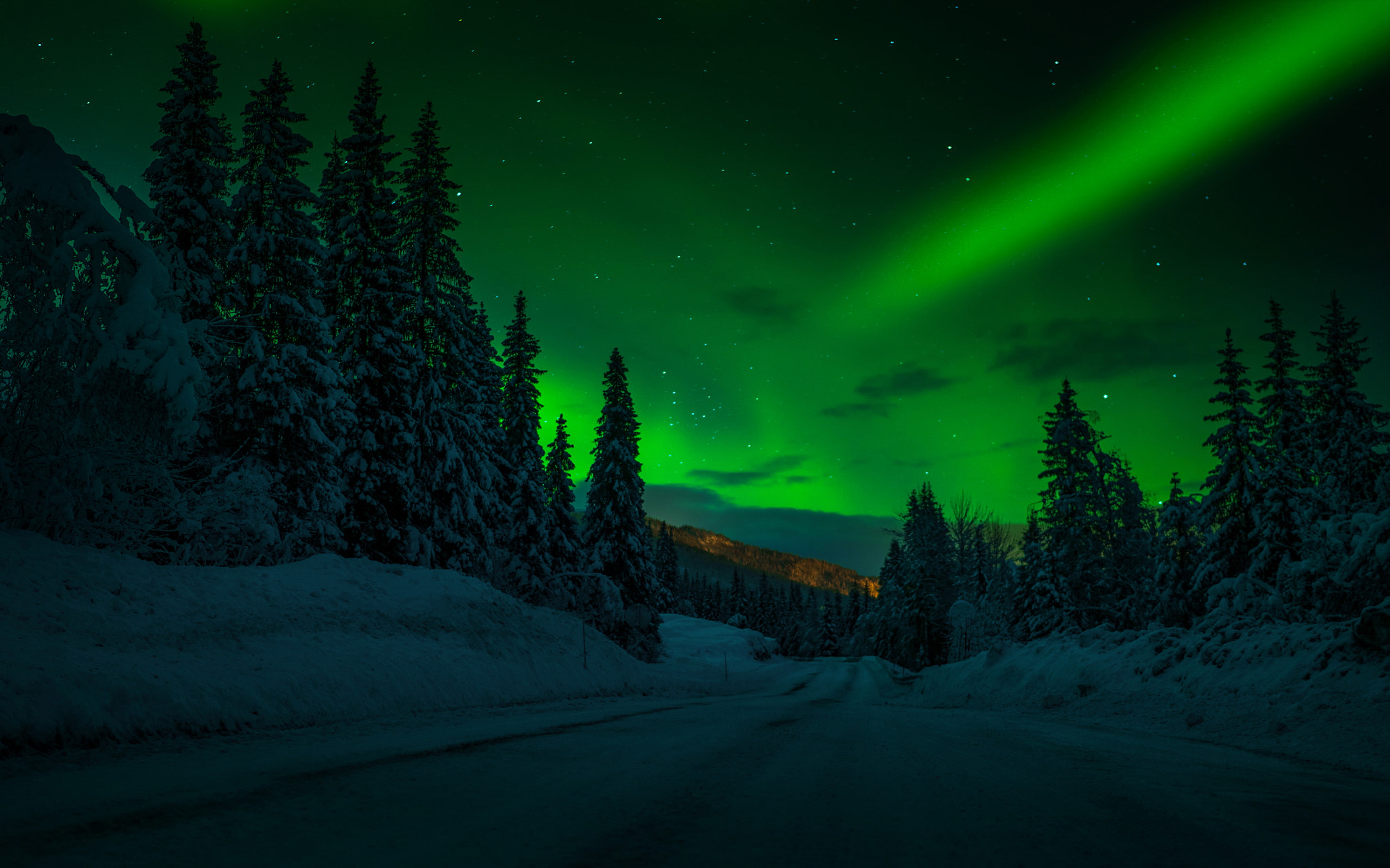 Norway Night Winter Snow Road Trees Trees Stars Stars Sky Polar Lights Night Landscape Photography Desktop Wallpaper Hd For Mobile Phones And Laptops