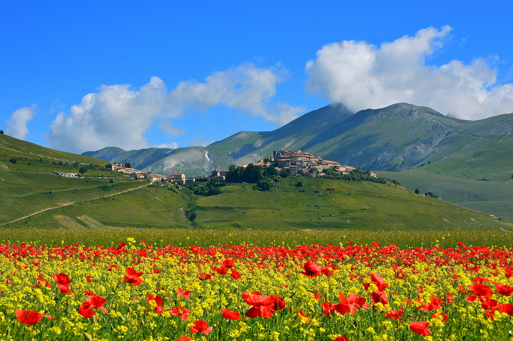 field, flowers, mountains, Maki, home, meadow, Italy, the village
