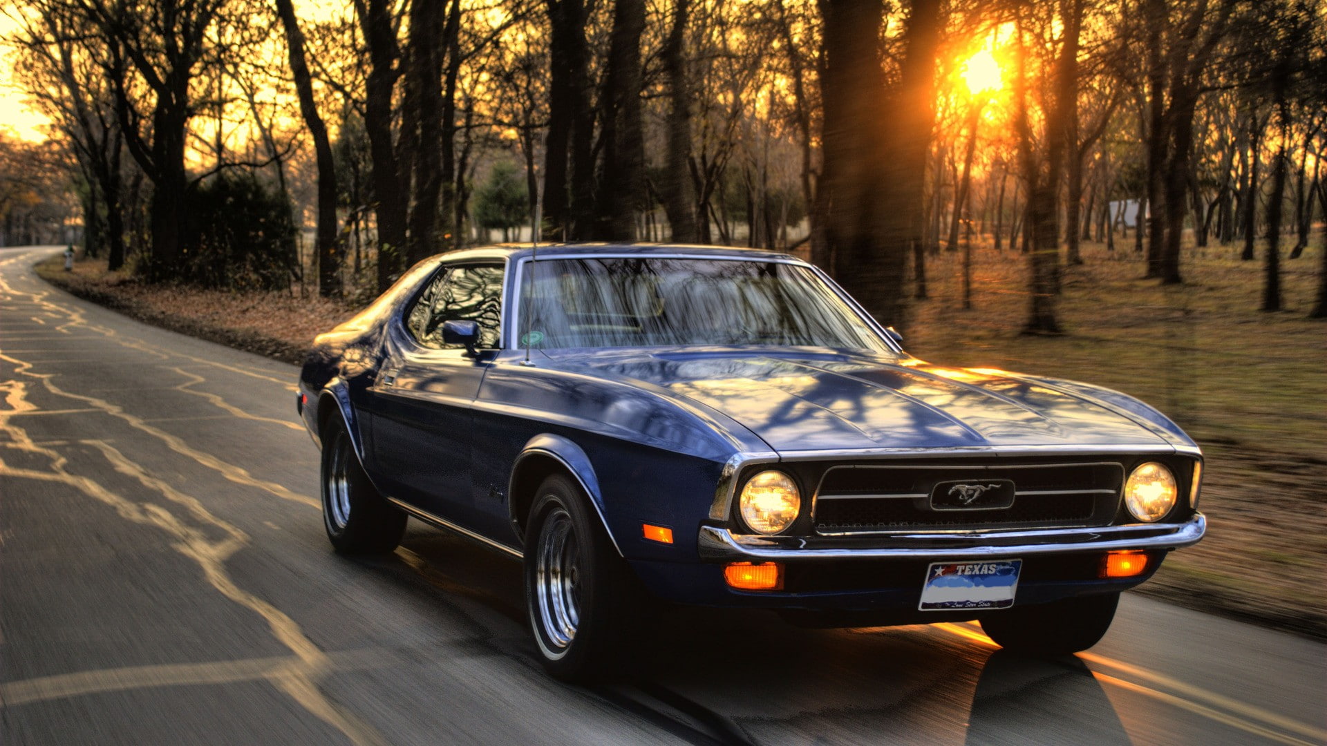 Car, Sunset, Trees, Road, Muscle Cars, Ford, Ford Mustang