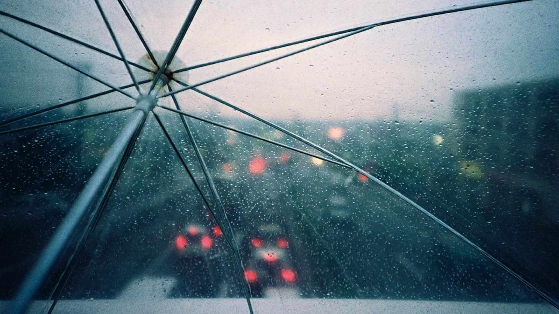 cityscapes rain cars transparent roads umbrellas 1920x1080  Art Umbrella HD Art