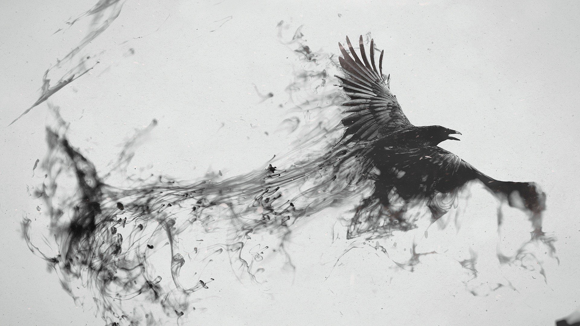 Crow
