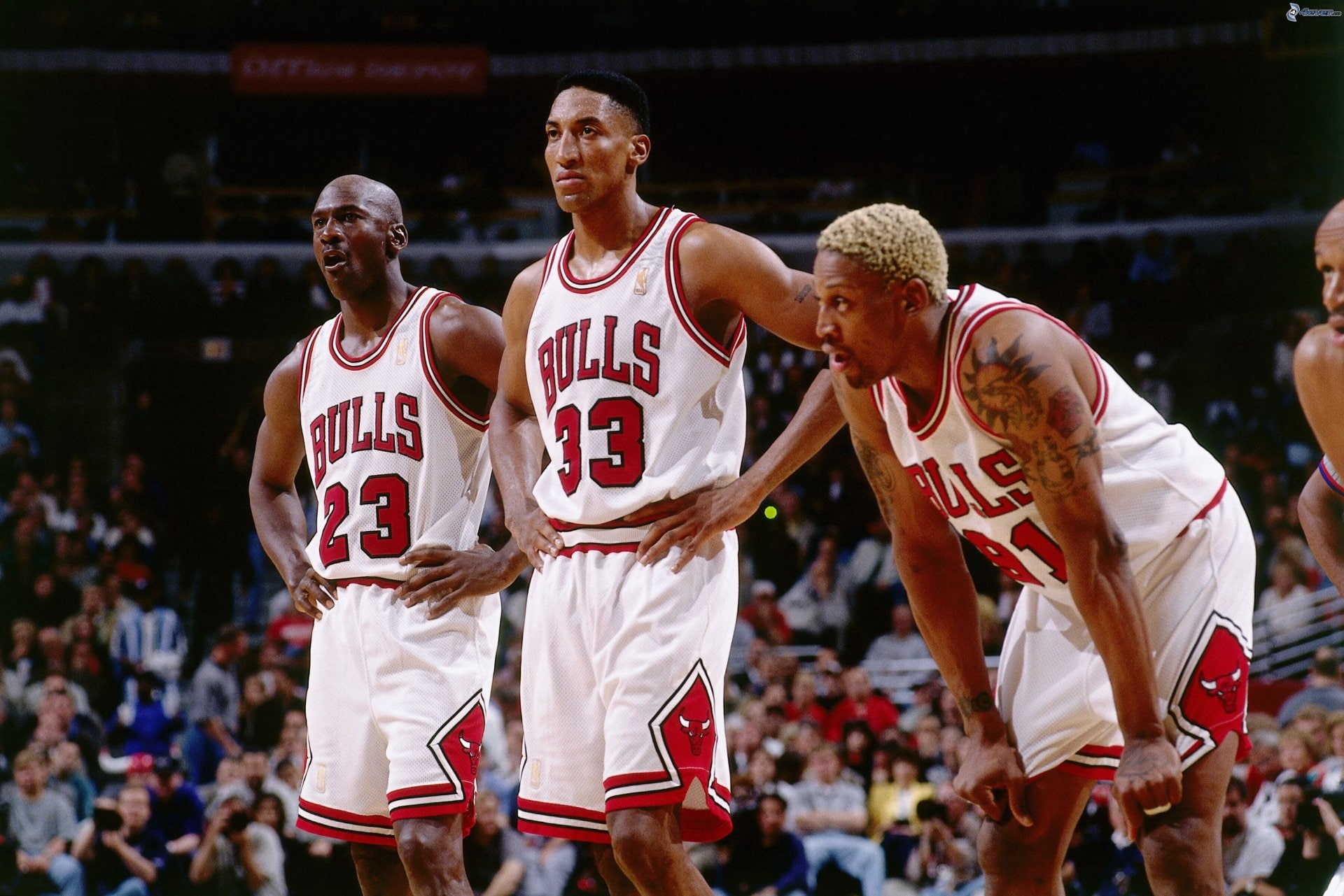 Basketball, Chicago Bulls, Dennis Rodman, Michael Jordan, sport