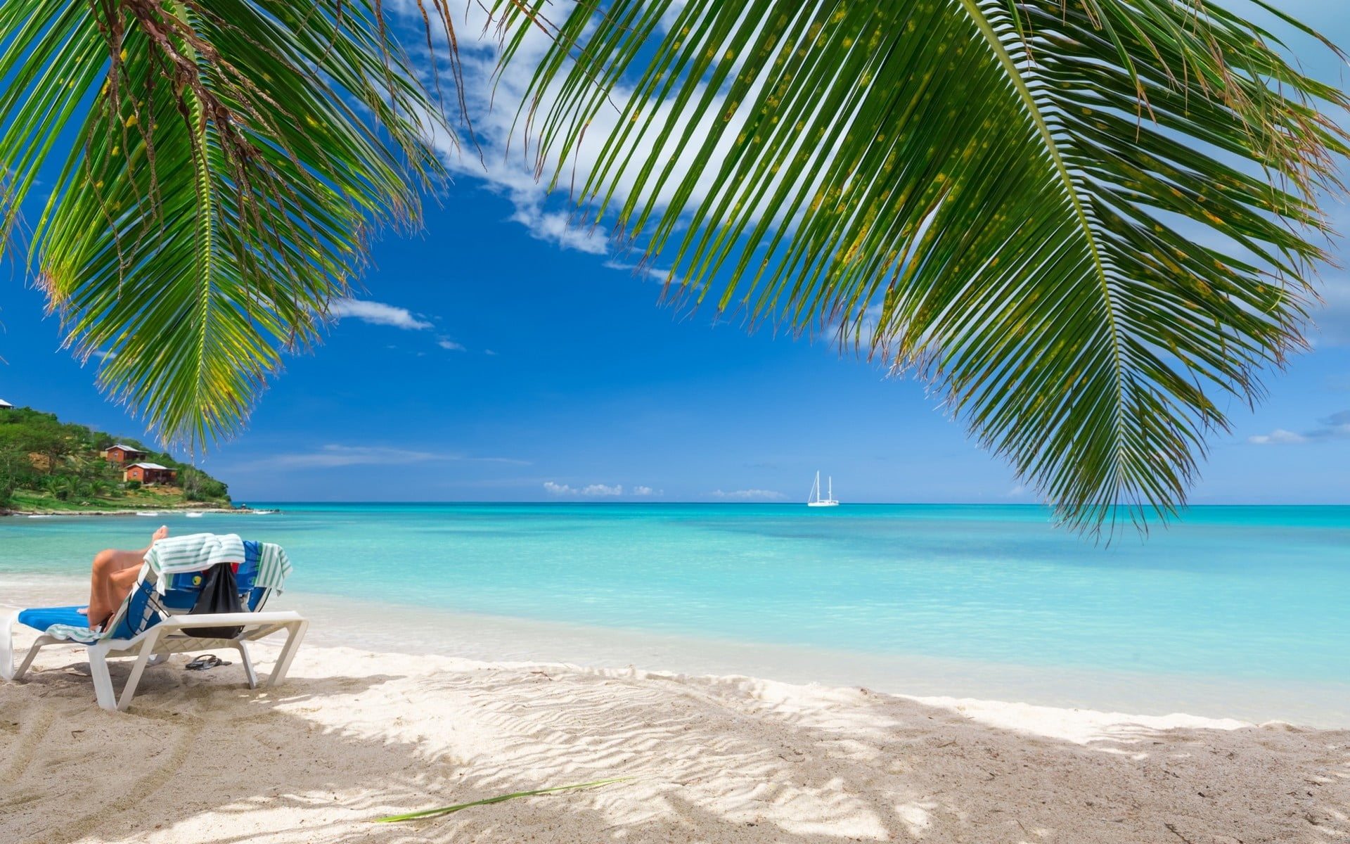 blue beach lounger, summer, tropical, sea, nature, landscape