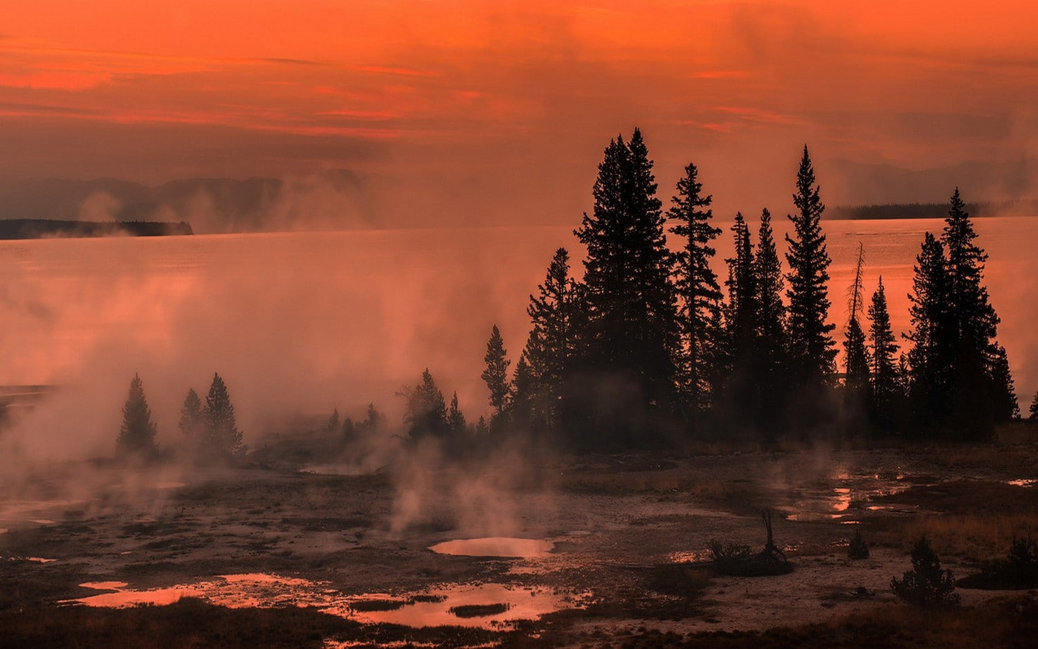 Lake, Sunrise, Mist, Nature, Yellowstone National Park, Trees, Puddles, Landscape
