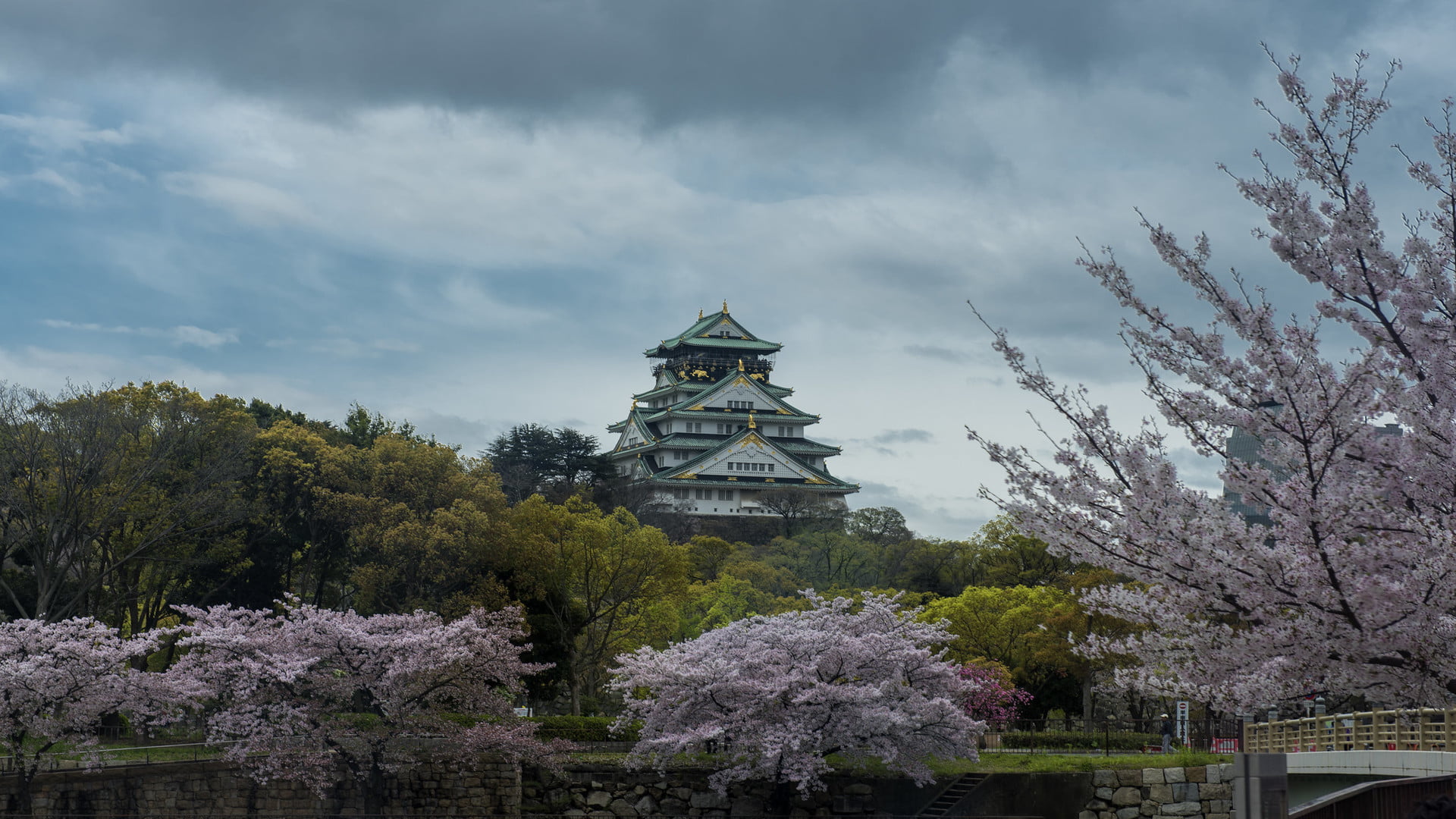landscape, nature, sky, trees, Sakura blossom, Osaka Castle