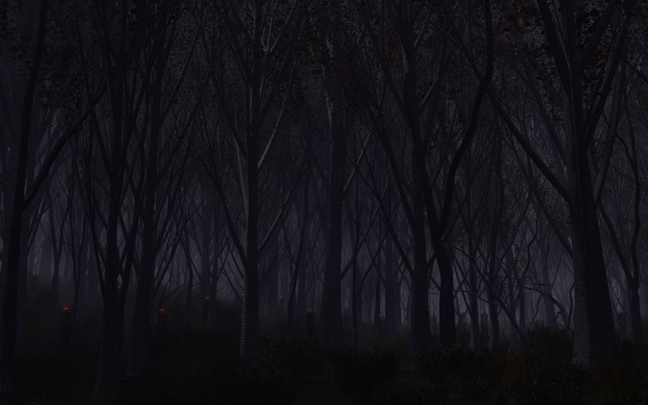 forest during night, trees, background, dark, nature, winter