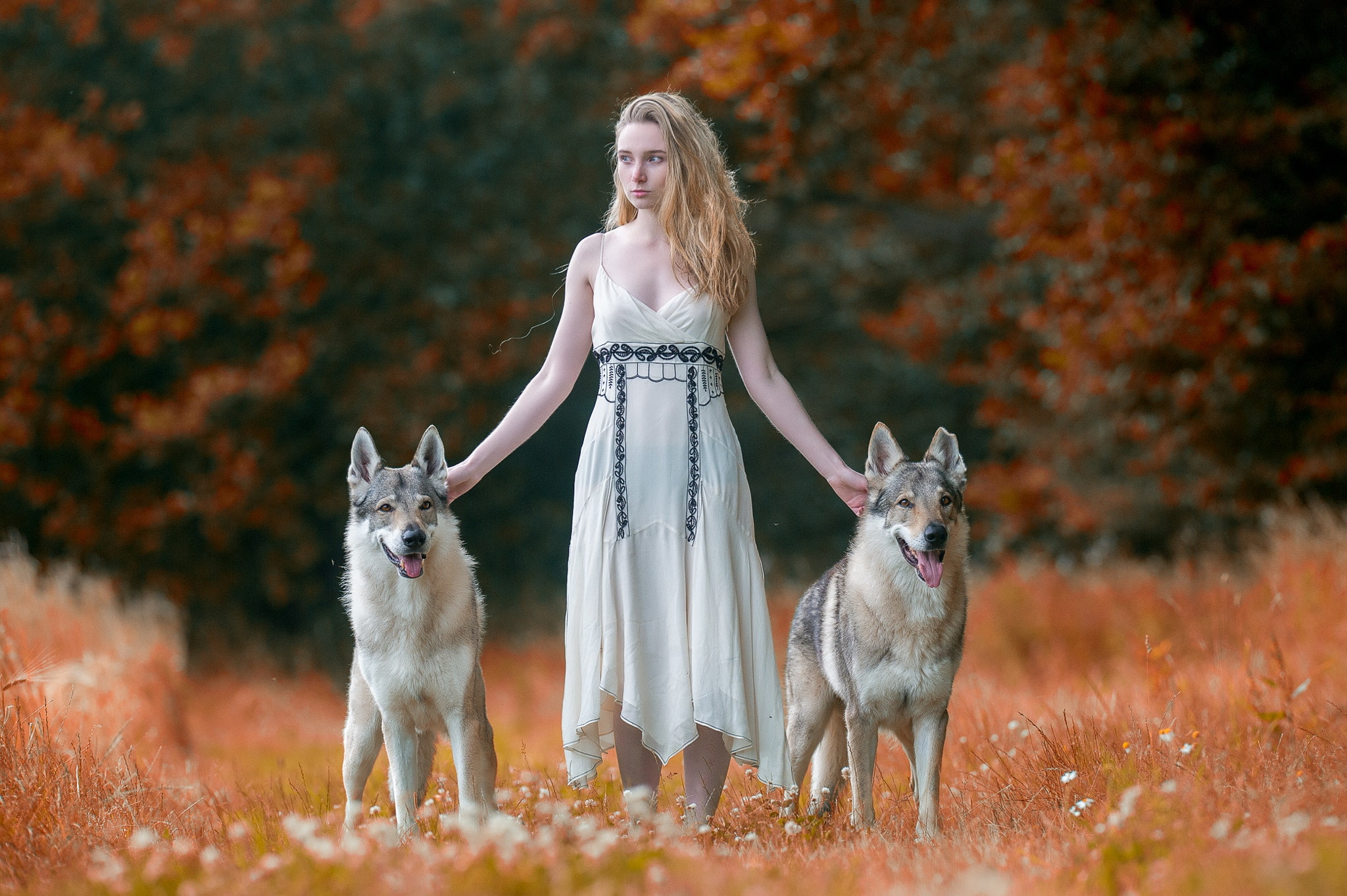 women, wolf, czechoslovakian wolfdog, hair, mammal, blond hair