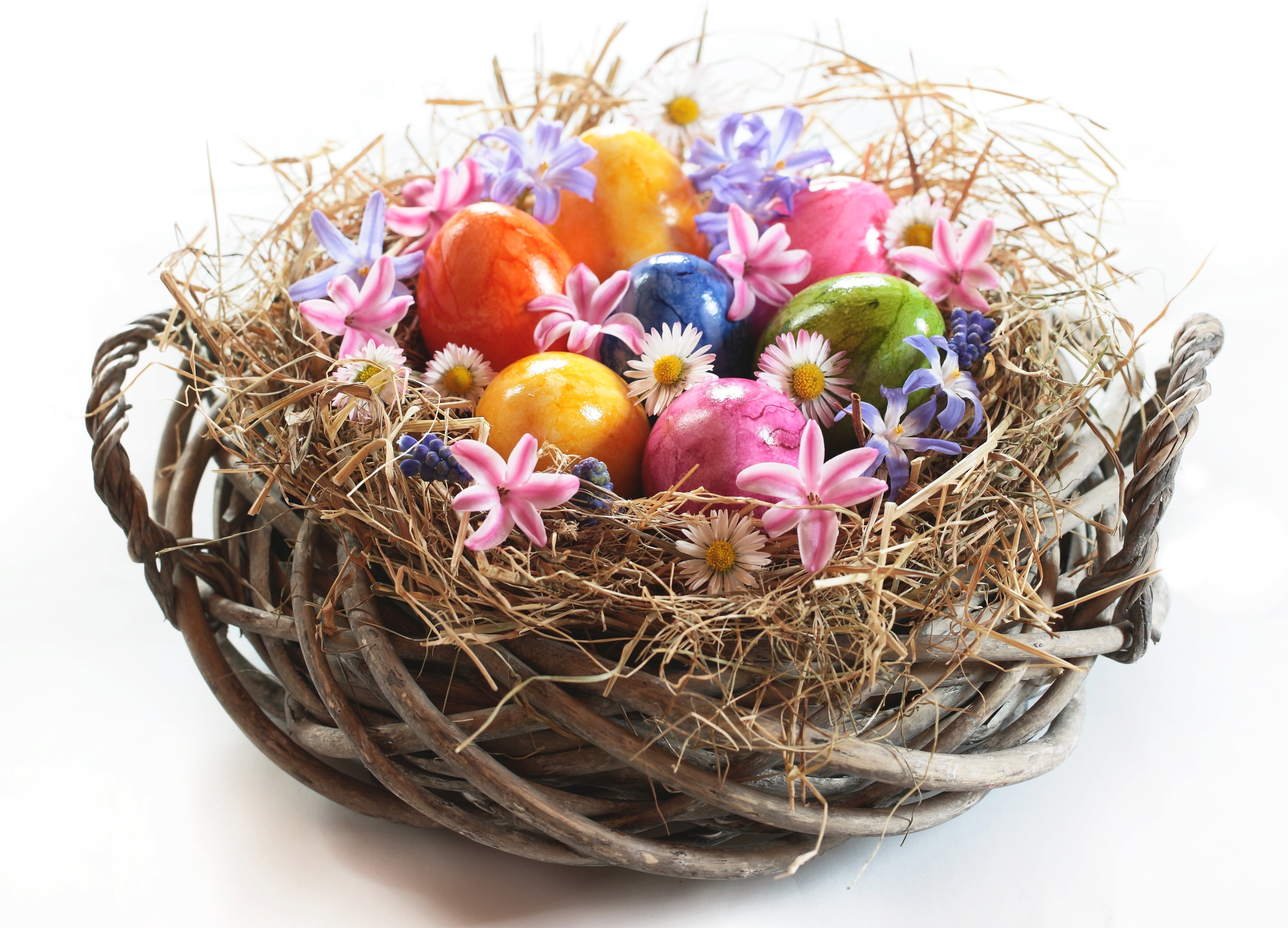 eggs, Easter, Easter eggs, flower, flowering plant, celebration
