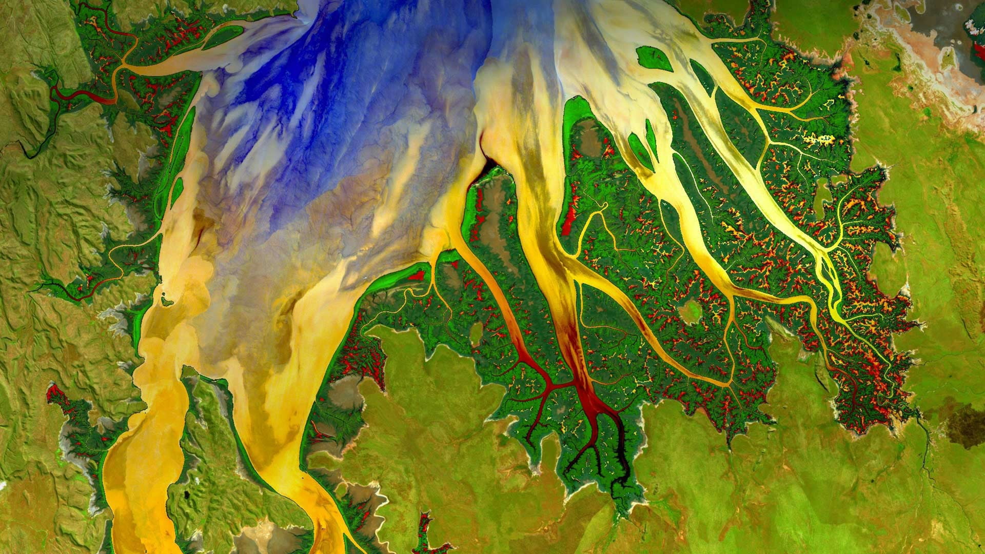 river, paint, satellite view, Western Australia, mouth, Cambridge Gulf