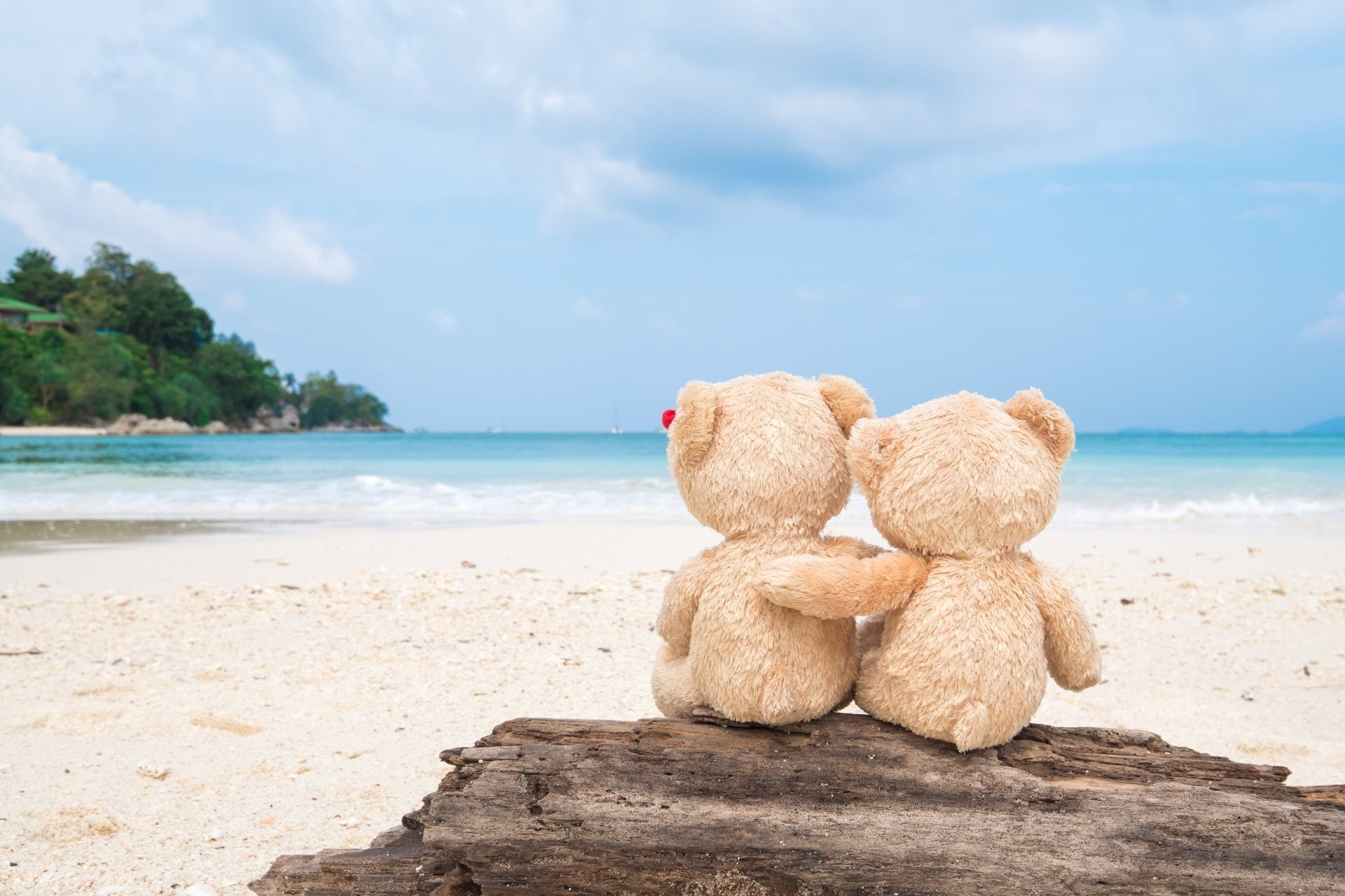 Man Made, Stuffed Animal, Beach, Love, Teddy Bear, sky, water