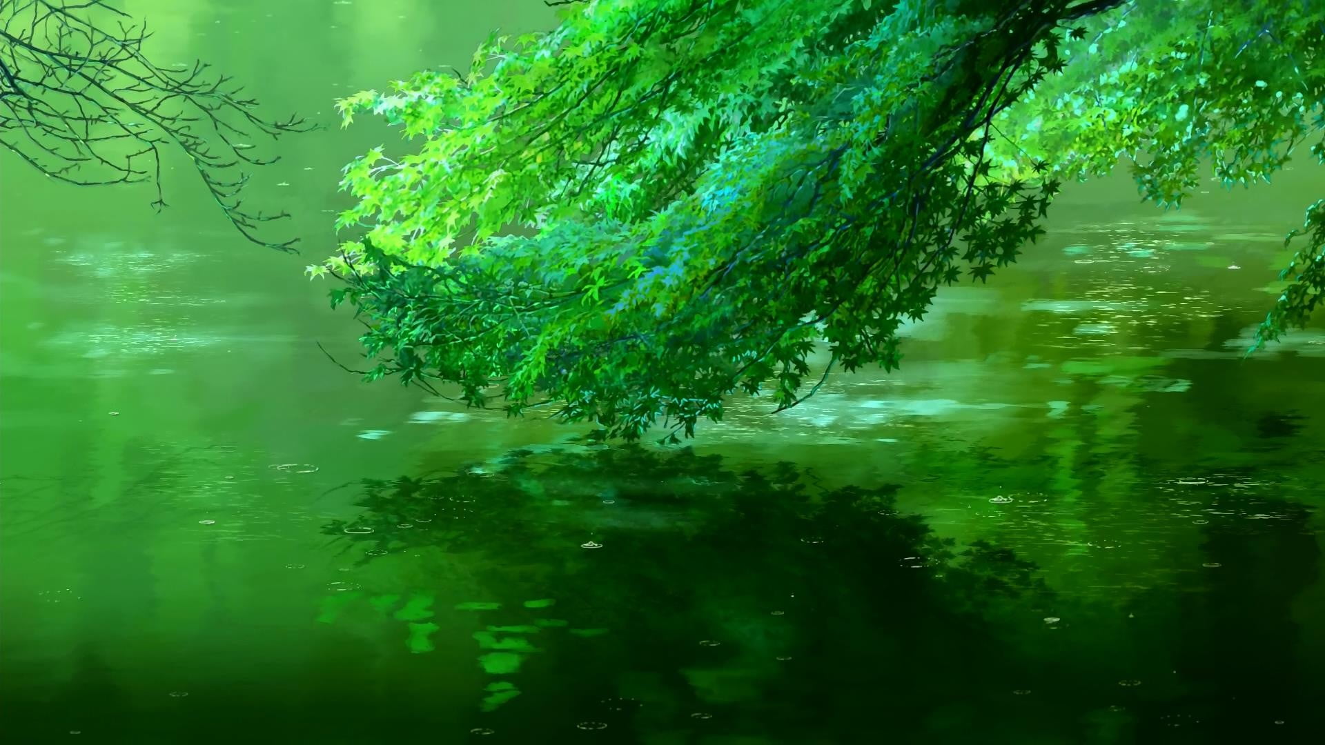 green trees, green leafed plants over body of water, fantasy art