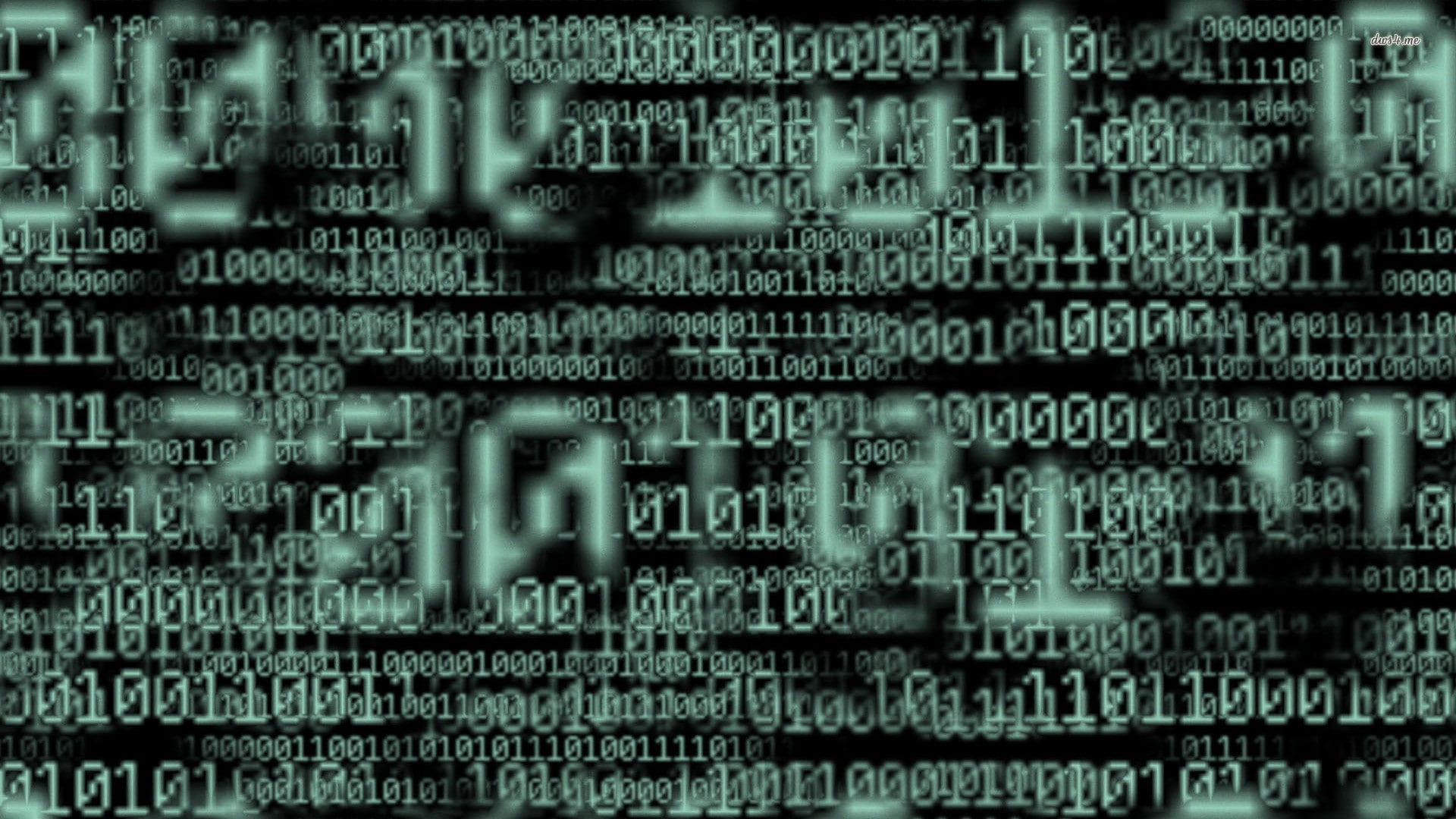 binary, data, technology, internet, communication, computer network